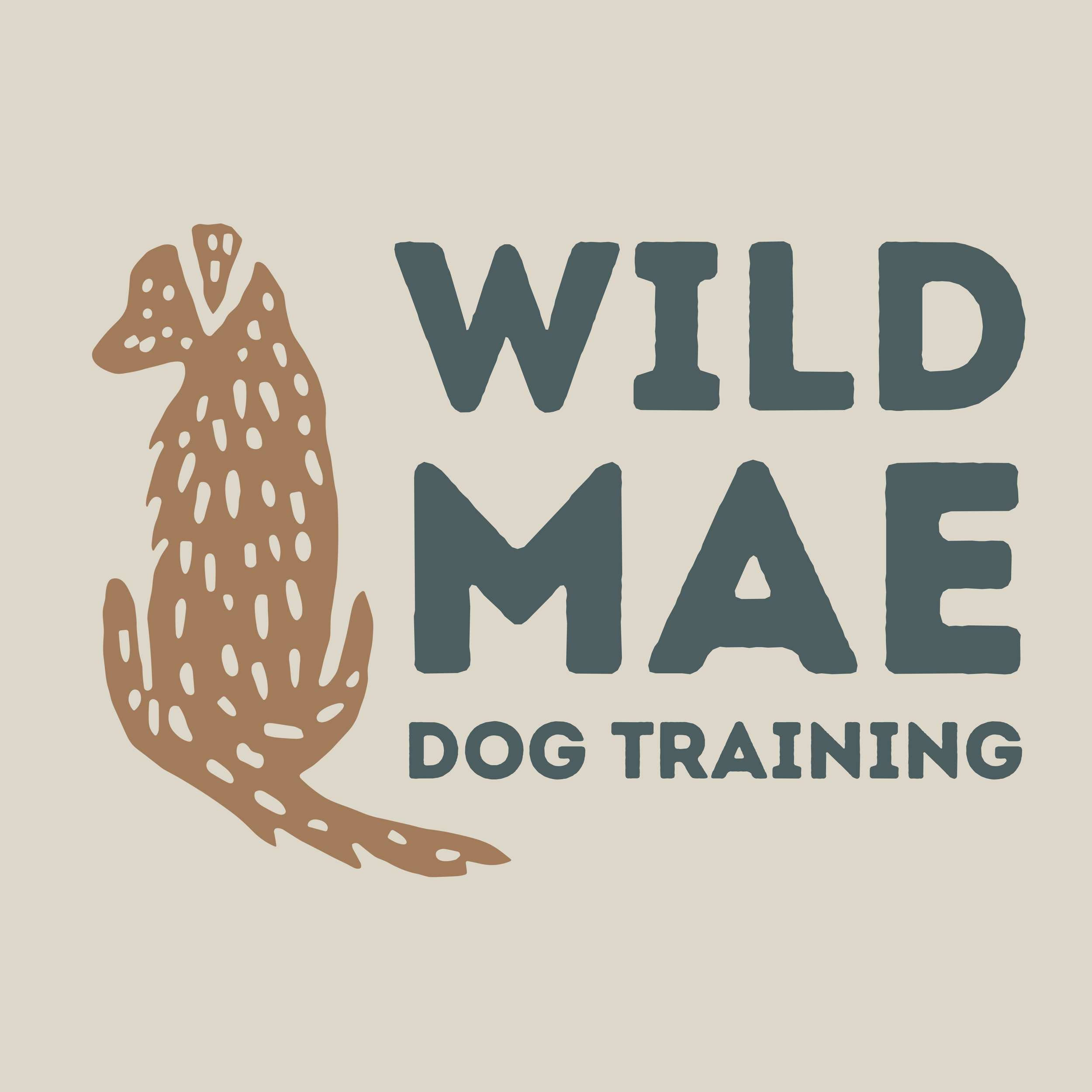 Wild Mae Dog Training | New England | Western MA