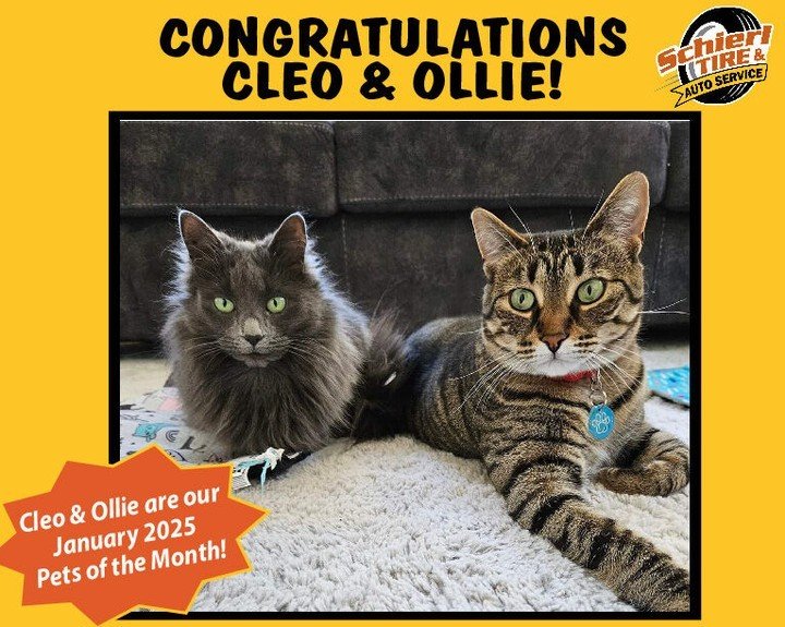 🌟🐾Congratulations to Cleo and Ollie! 🐾🌟

📸 We're thrilled to unveil one of our 12 winning pets for the Picture Perfect Pets Photo Contest, Cleo and Ollie! Thank you for entering our contest! You received a $50 gift card to Bow Wow Meow Boutique 