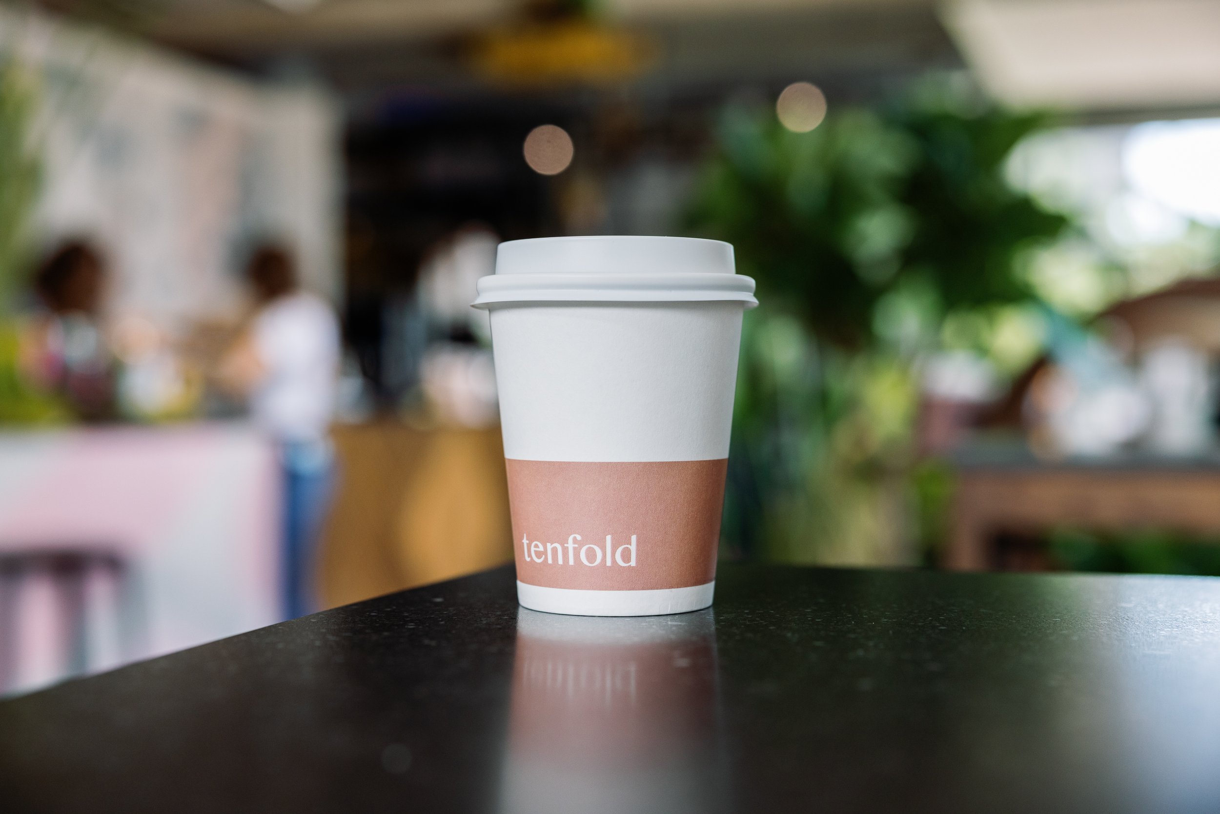 TENDFOLD-32.jpg