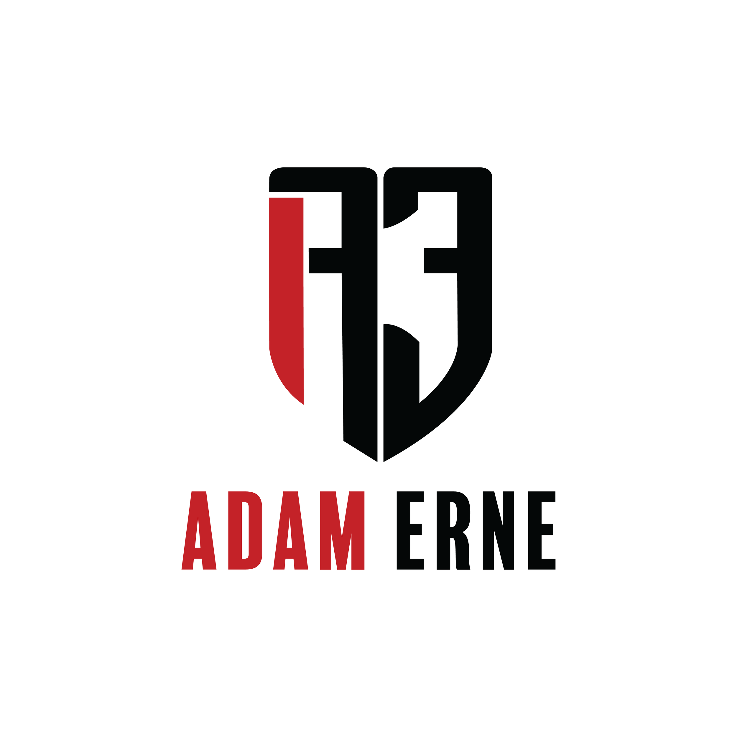 Adam Erne .png