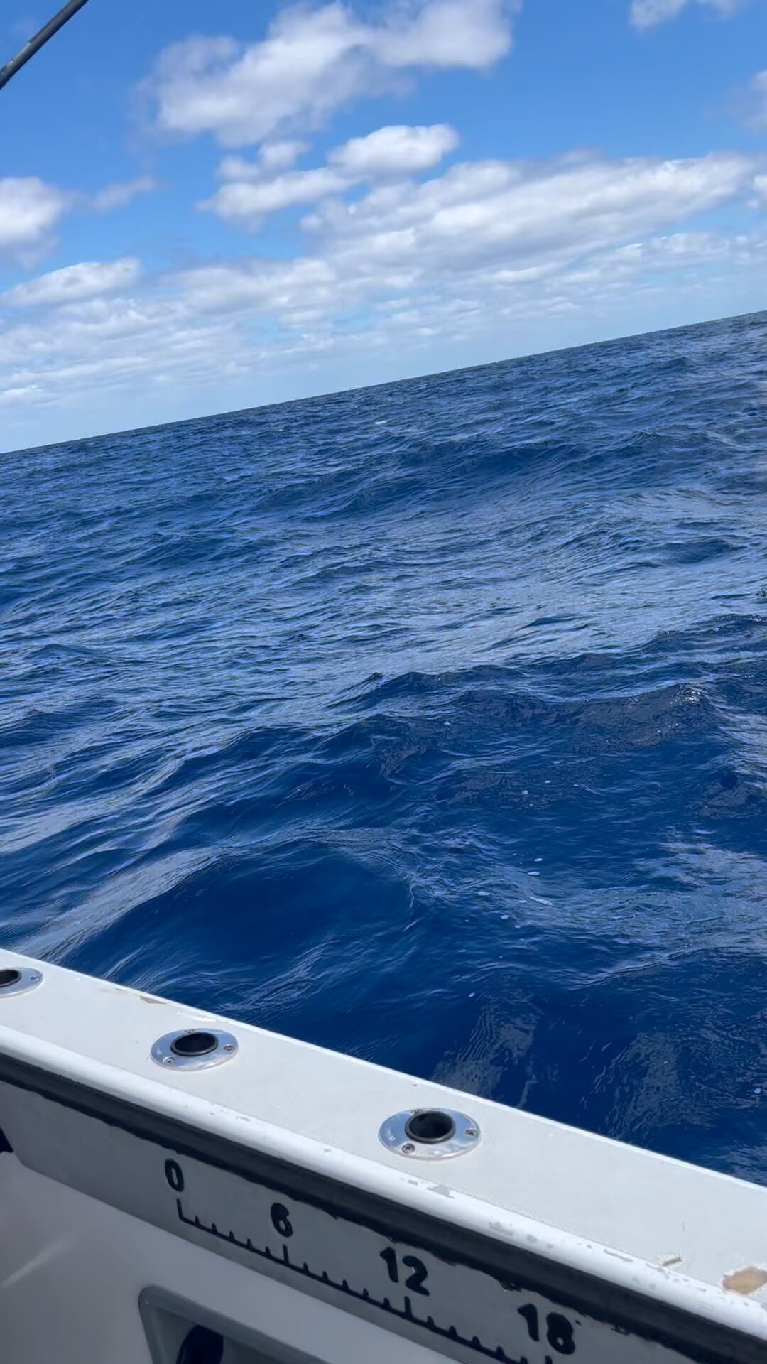 Mahis are starting to show folks ! Get with The Program Sportfishing Charters! Book a trip for you or your family and try to catch a trophy ! Plenty of fish in the spring and summer to fulfill all your fishing needs ! Let’s go fishing ! Call or