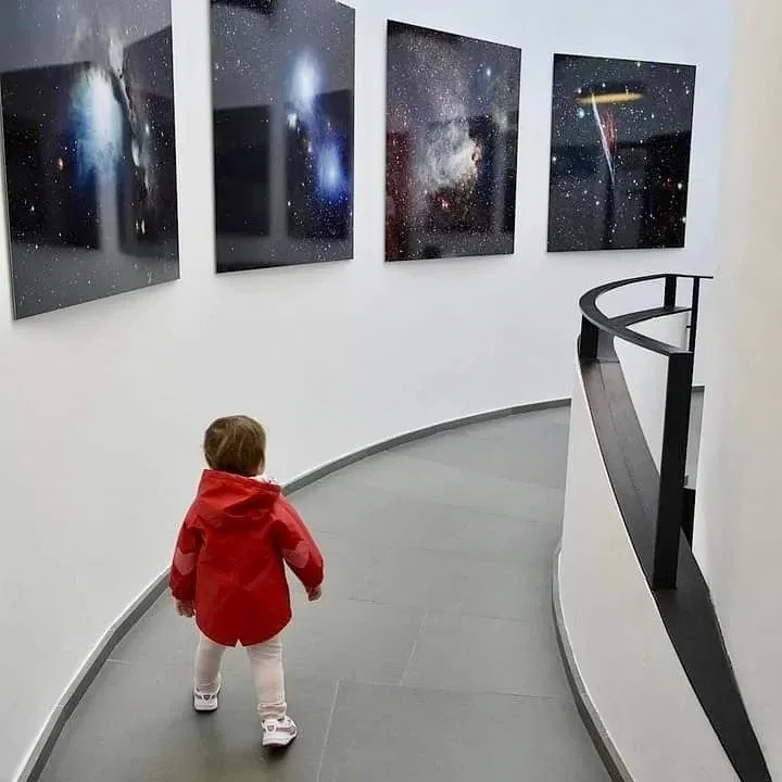 Primi passi alla mostra