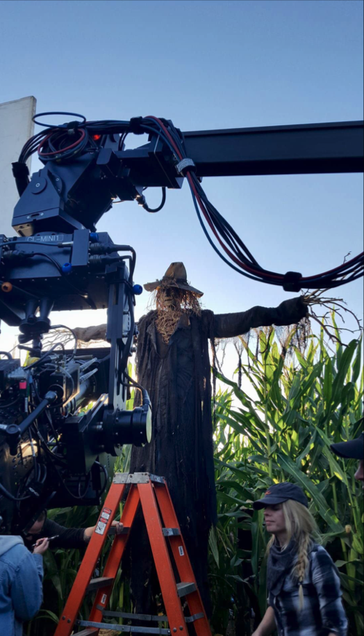 Goodnight Scarecrow 8.png