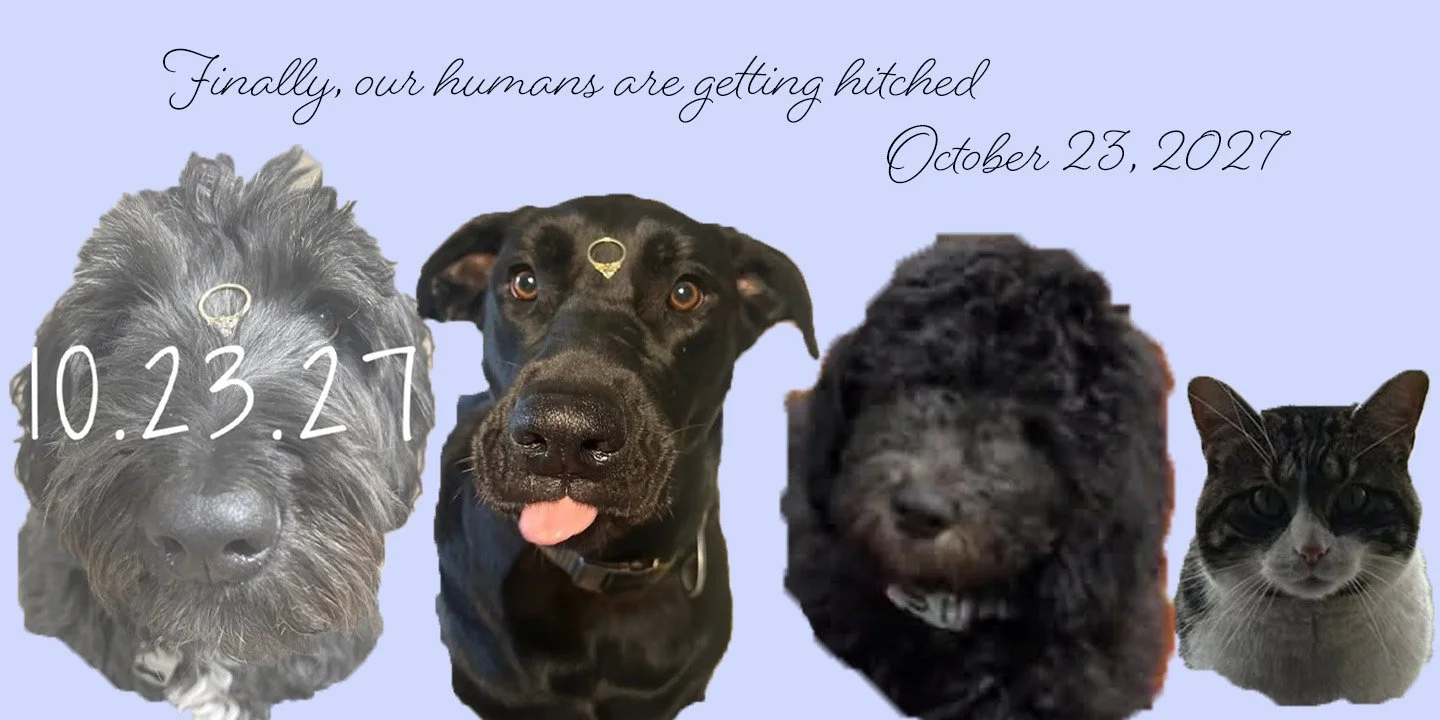 lori mock up pets.jpg