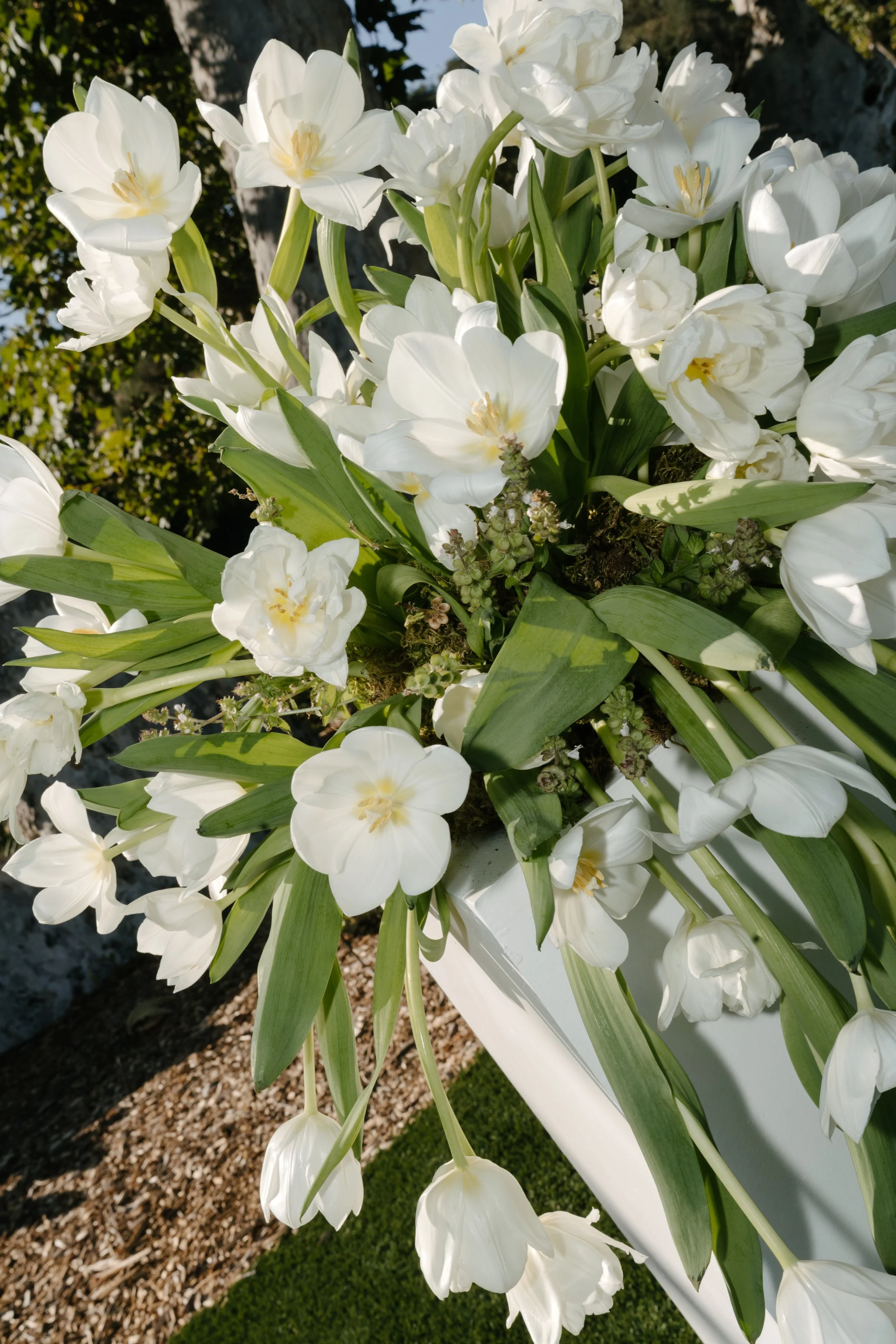 Venue: Monserate Winery