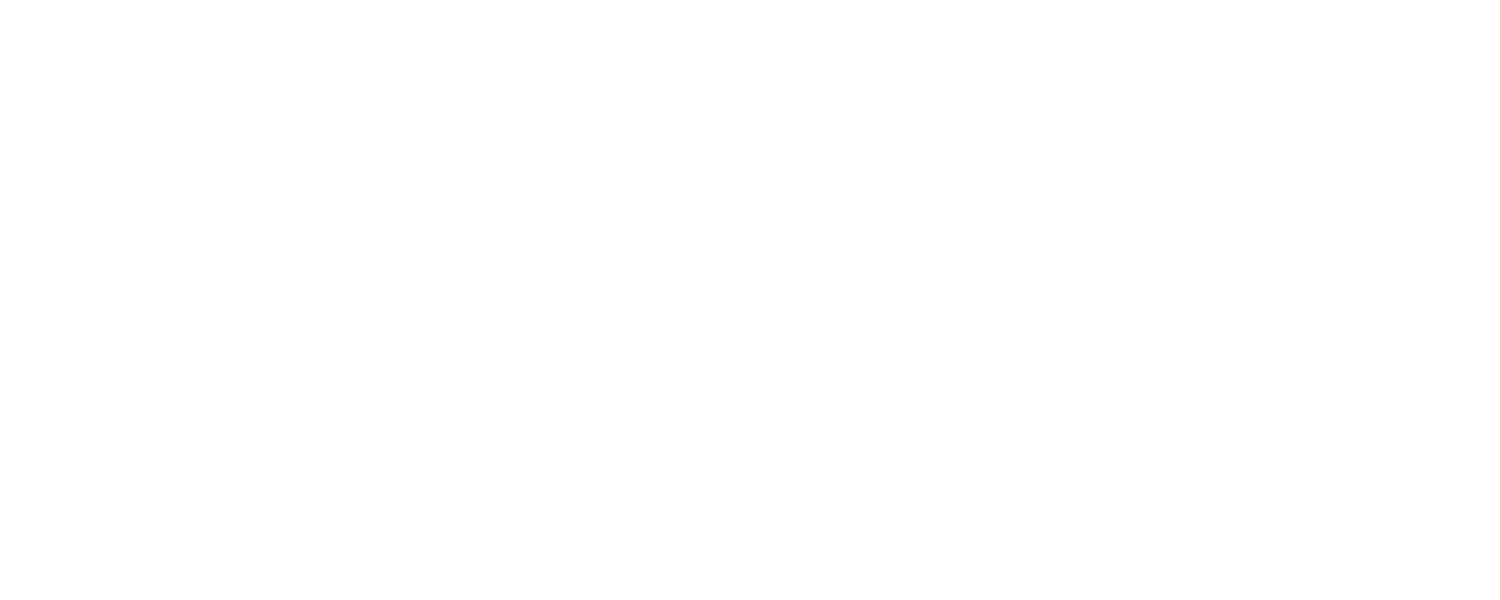 vionmo