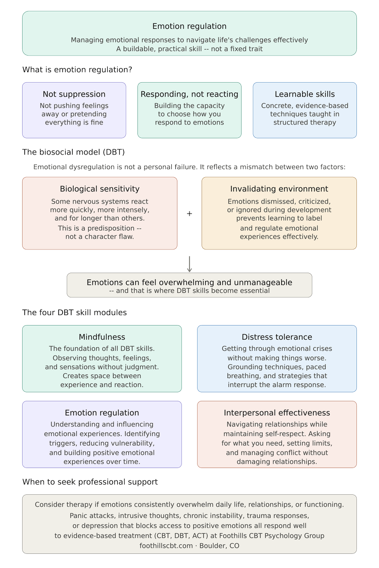What Is Emotion Regulation? Skills, Models, And Why It Matters ...
