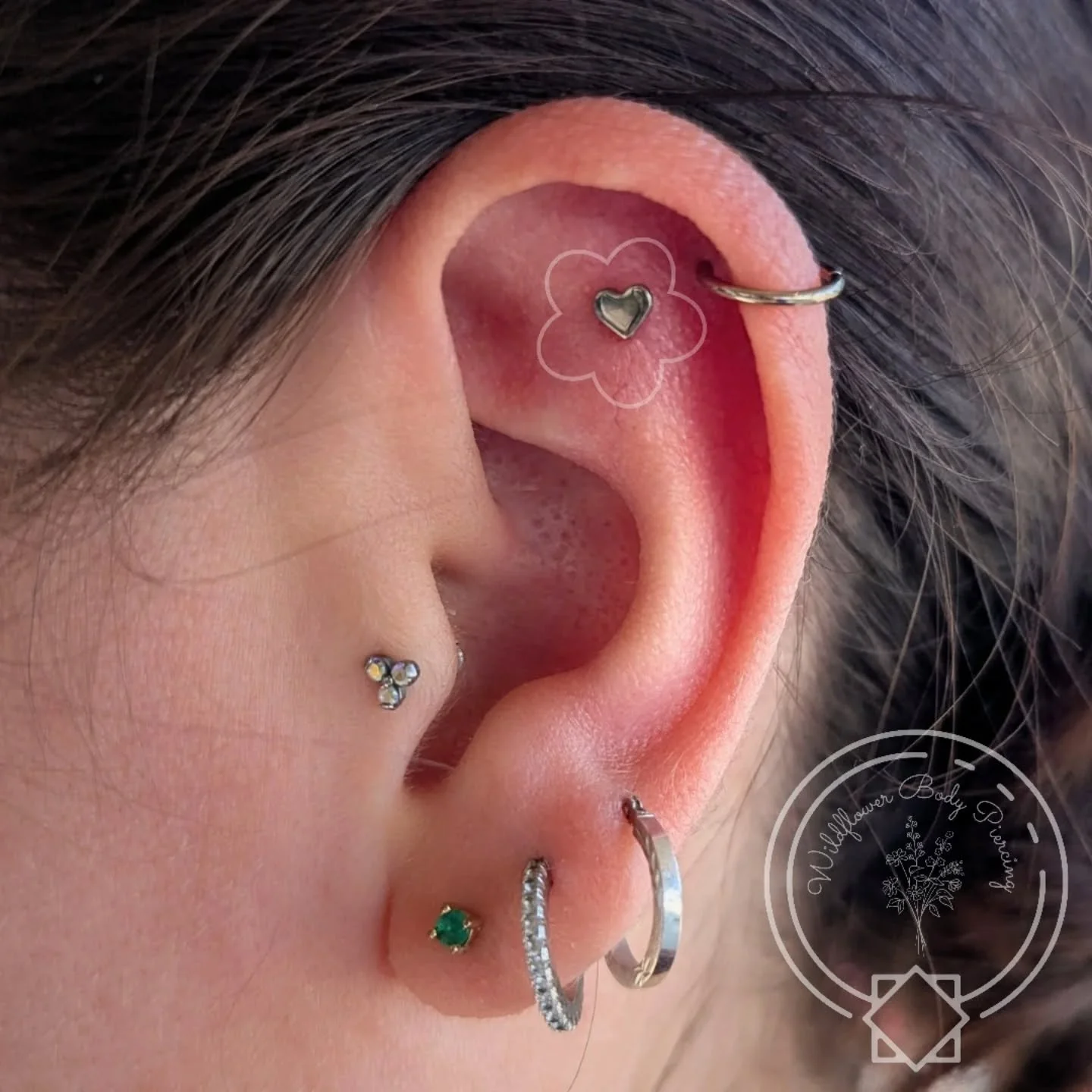 I &hearts; a flat piercing! I know Lia feels the same since she chose this simply elegant puffy heart from @divinitymetals for her new flat piercing I had the pleasure of piercing for her. How precious does it look with the rest of her piercings? Tha