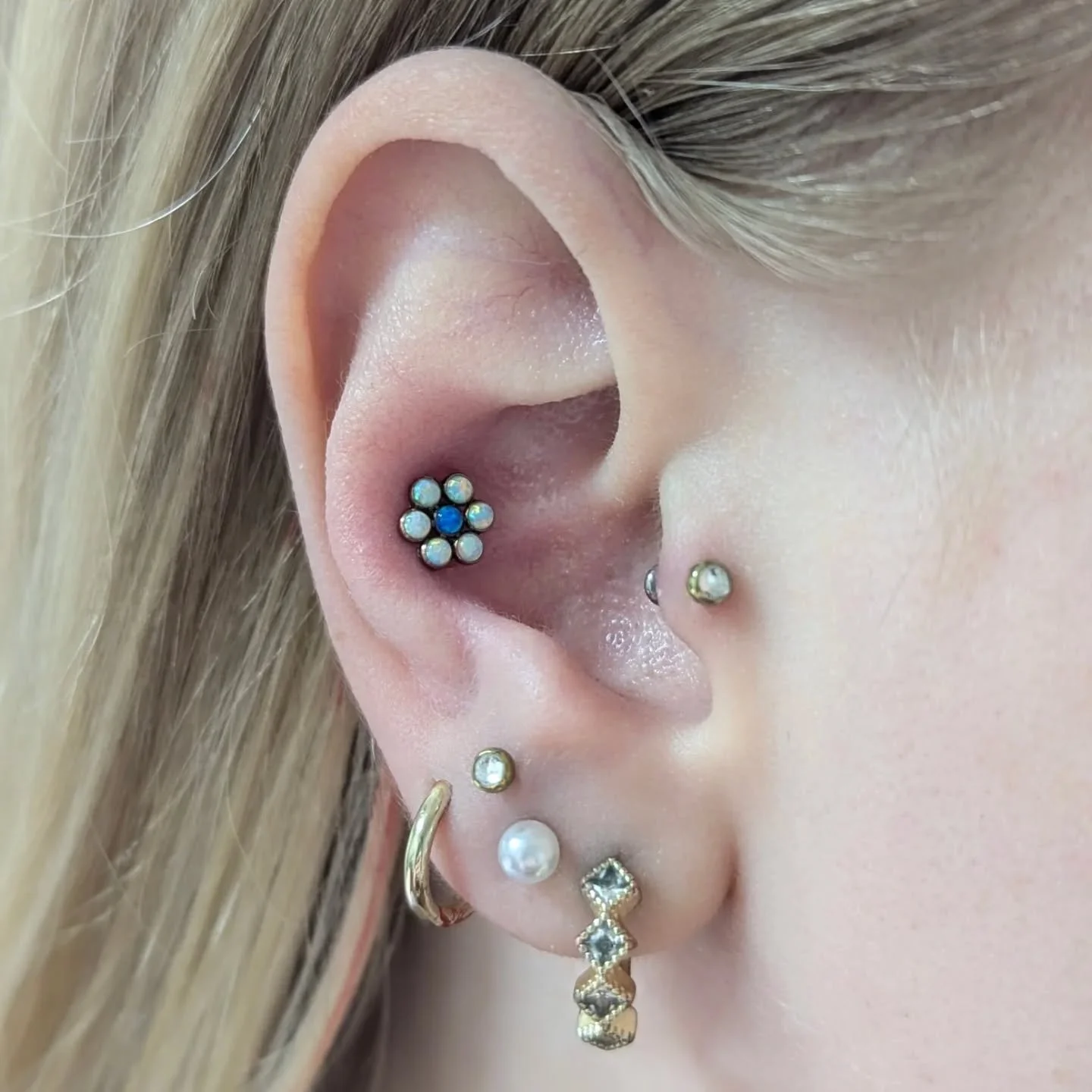 A big thank you to everyone who entered the Pride Festival raffle. For a quick fundraiser, we still managed to raise $100 for the local @potsdampride Trans Healthcare Fund. Blossom finally got a home in Abbi's new conch piercing, and fits so beautifu