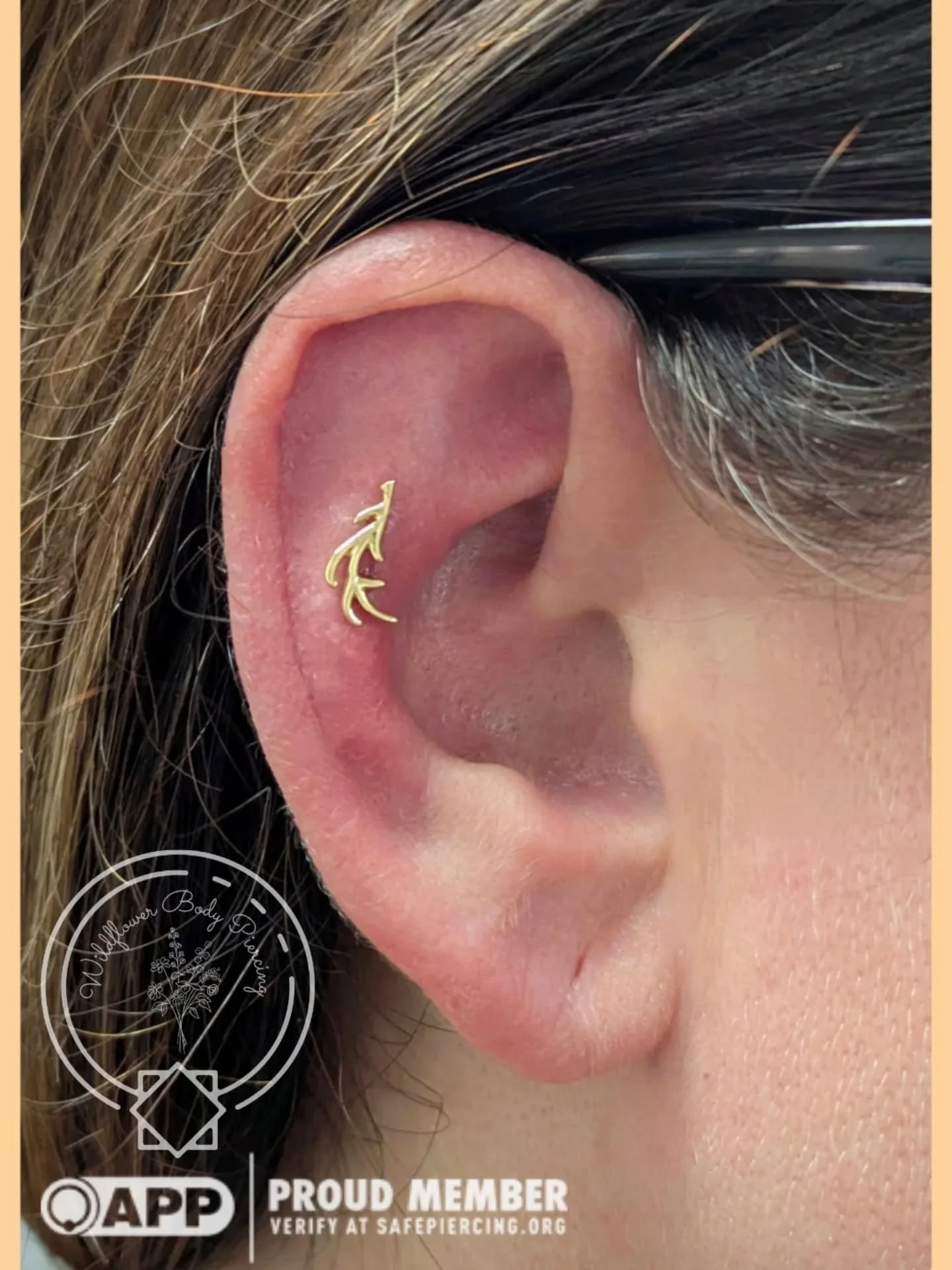 Courtney and Chloe both chose some gorgeous gold pieces from @junipurrjewelry for their new flat piercings, and really brightened up this cloudy autumn day. This &quot;Antler&quot; piece has been patiently waiting for the perfect home, and Courtney's