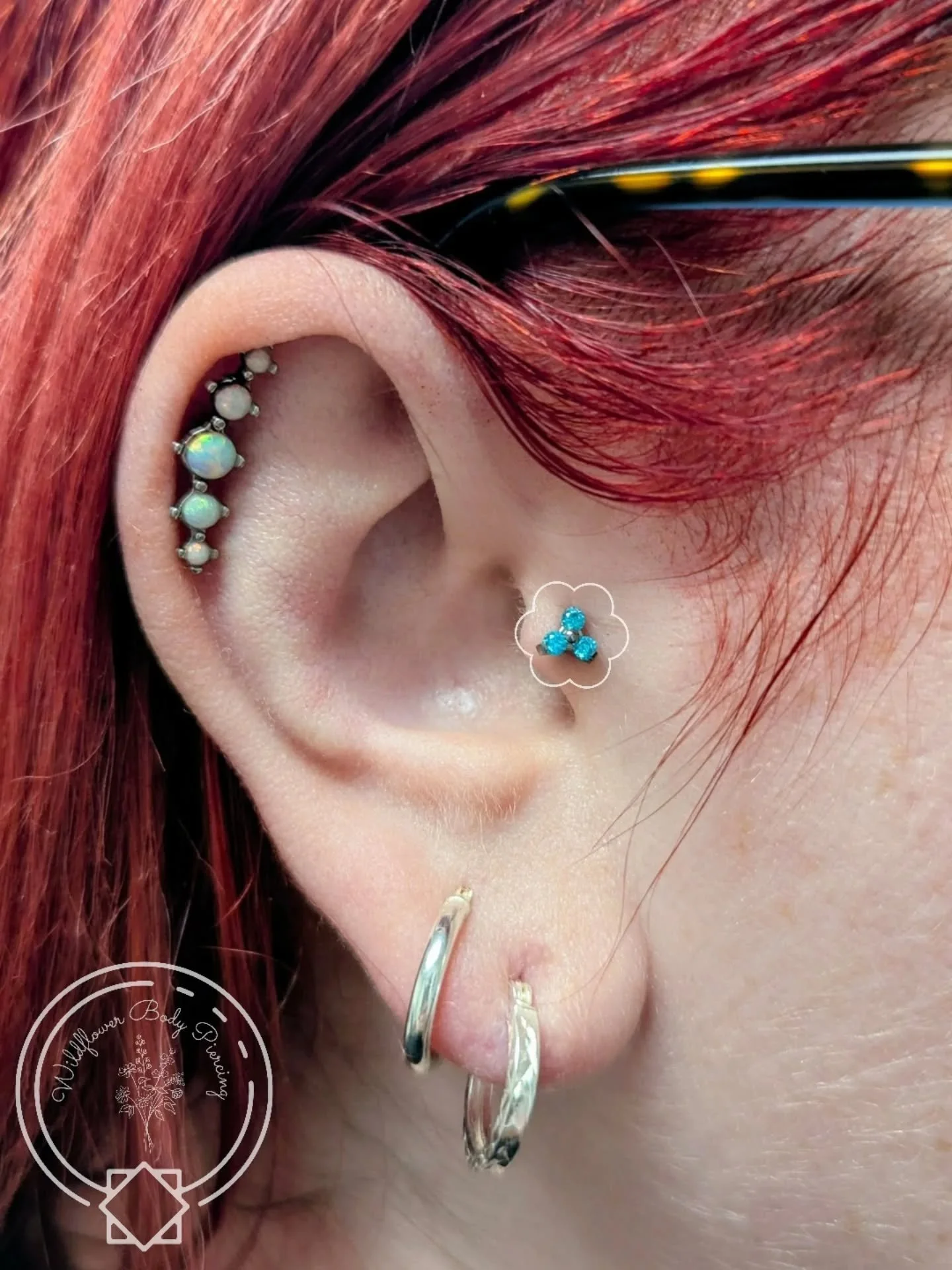 I've been so bad about posting piercings lately, so check out this photo dump of some of the gorgeous piercings I've had the pleasure of piercing and downsizing lately.

Alyssa did an amazing job healing this tragus piercing I did in February, so we 