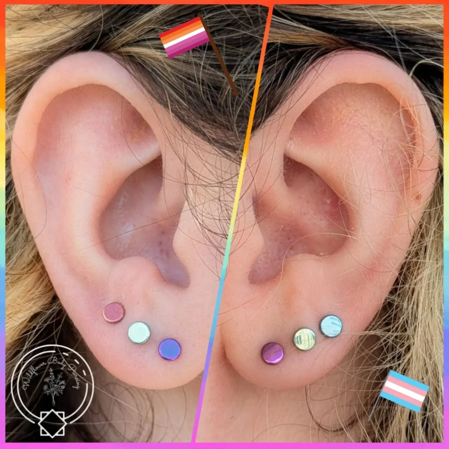 Happy Pride! 🏳️&zwj;🌈 Iselda had me anodize these titanium discs to match the colors of the Lesbian and Transgender pride flags for her earlobe piercings last week (first and second lobes are healed, the thirds are freshly done!). It was a joy to d