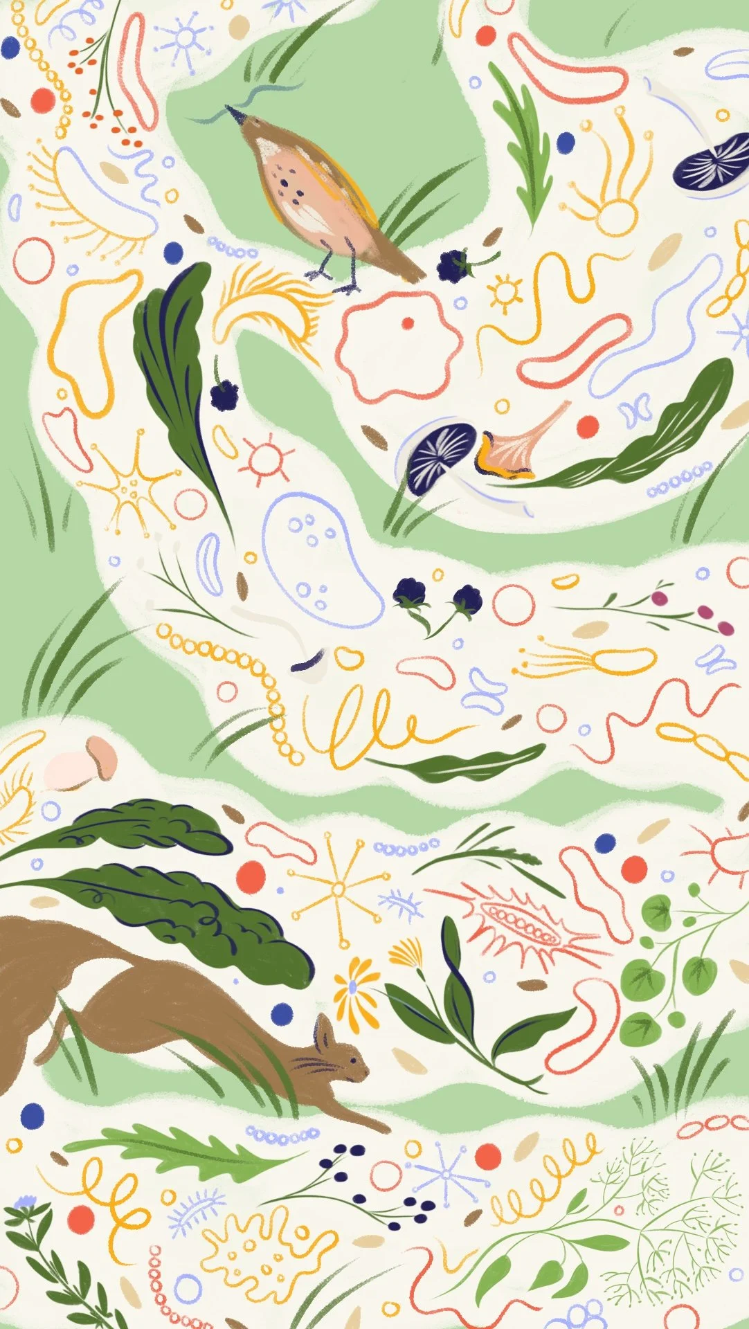 A collection of healthy gut bacteria, birds, mushrooms and berries