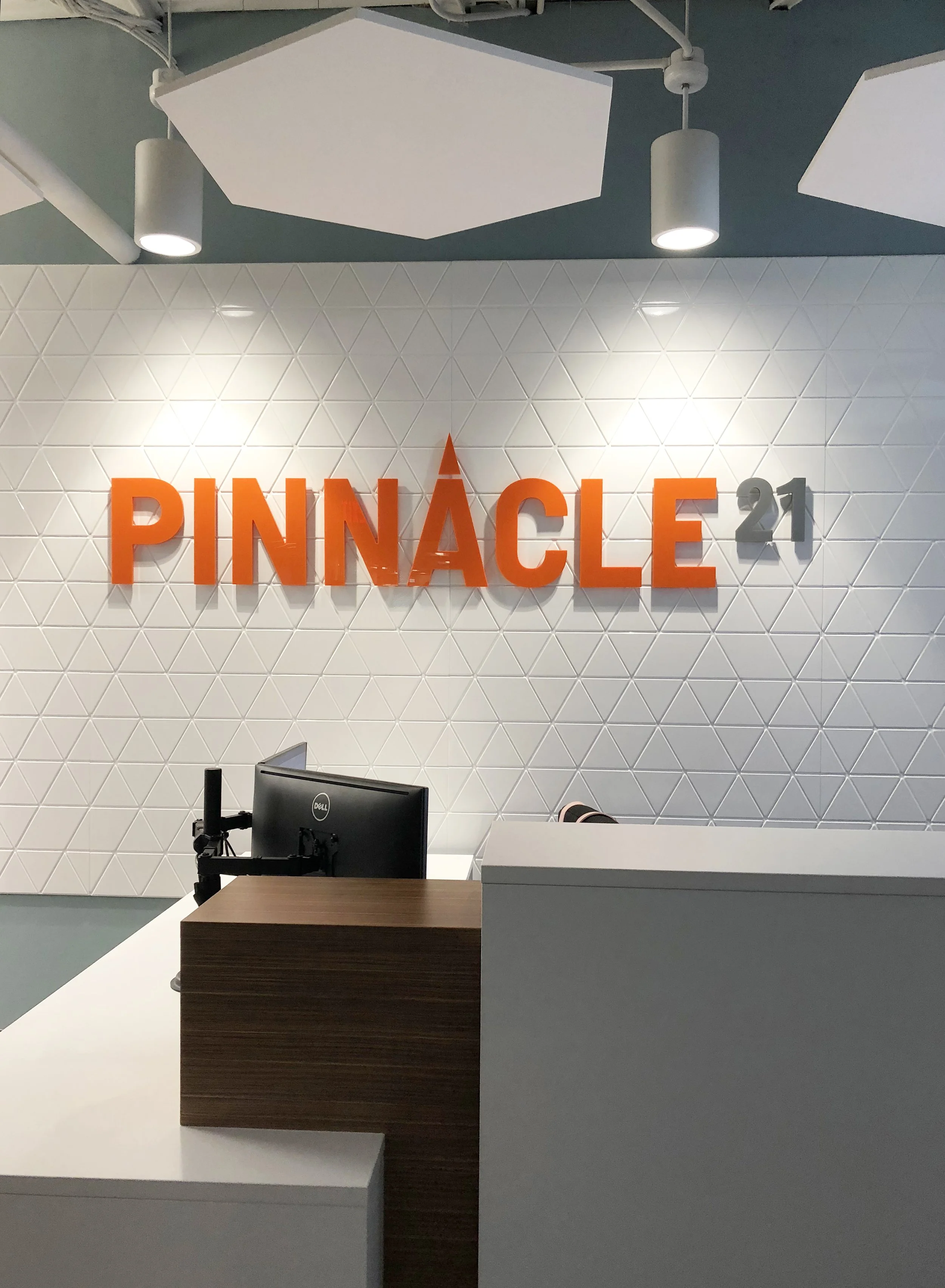 Pinnacle 21 — RHJ Associates P.C.