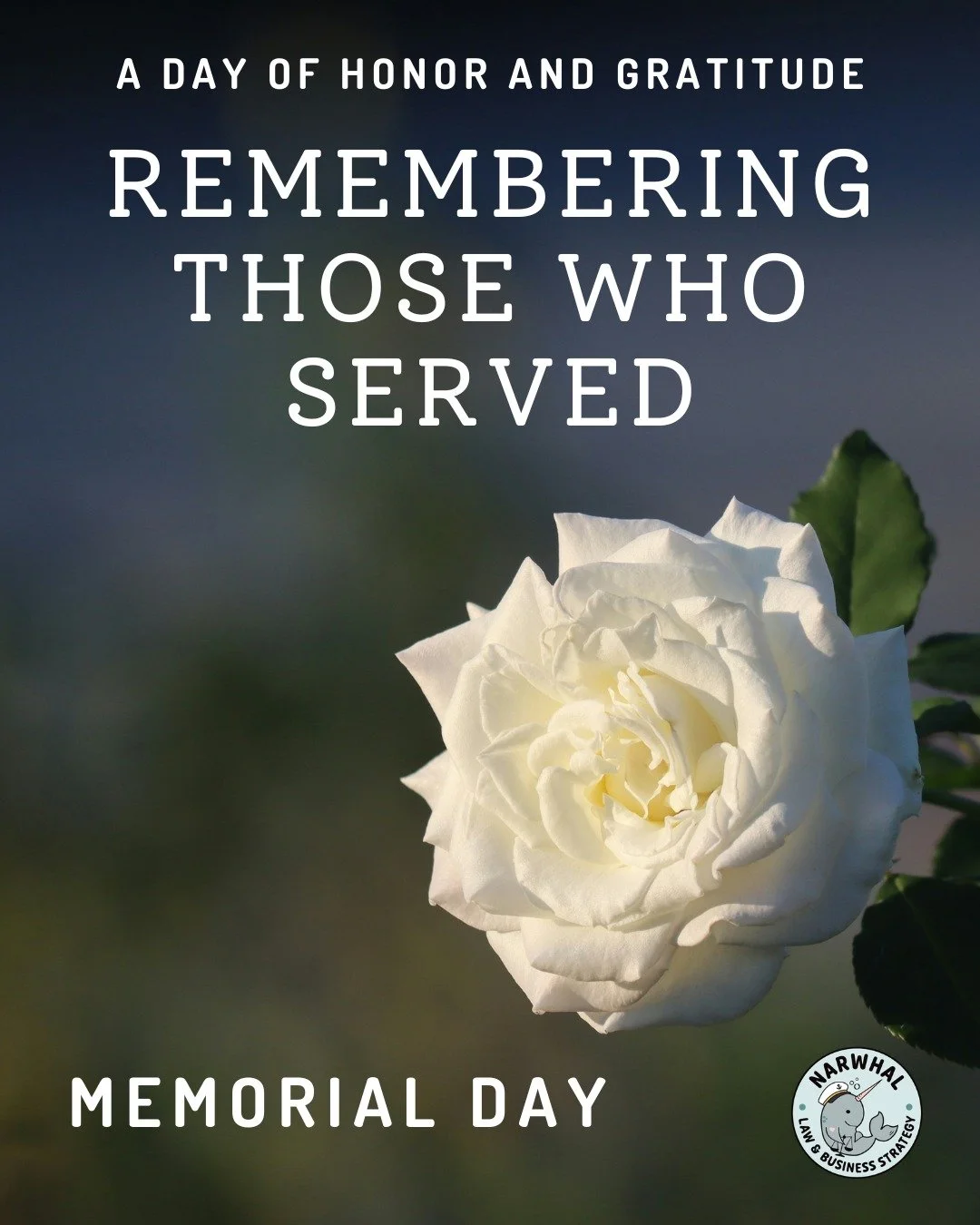 Every life lost in service was a whole world&mdash;�a world of stories, of potential, of people left behind. On Memorial Day, we don&rsquo;t glorify war&mdash;we hold space for the deep cost of it. At Narwhal, we believe in community, care, and impac