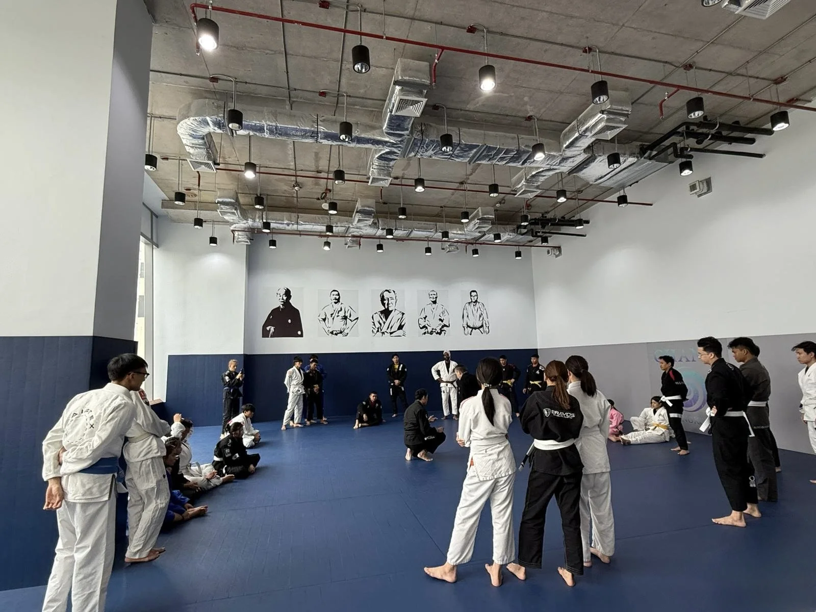 Sacrificing Leverage for Control: The Arm Drag Lesson