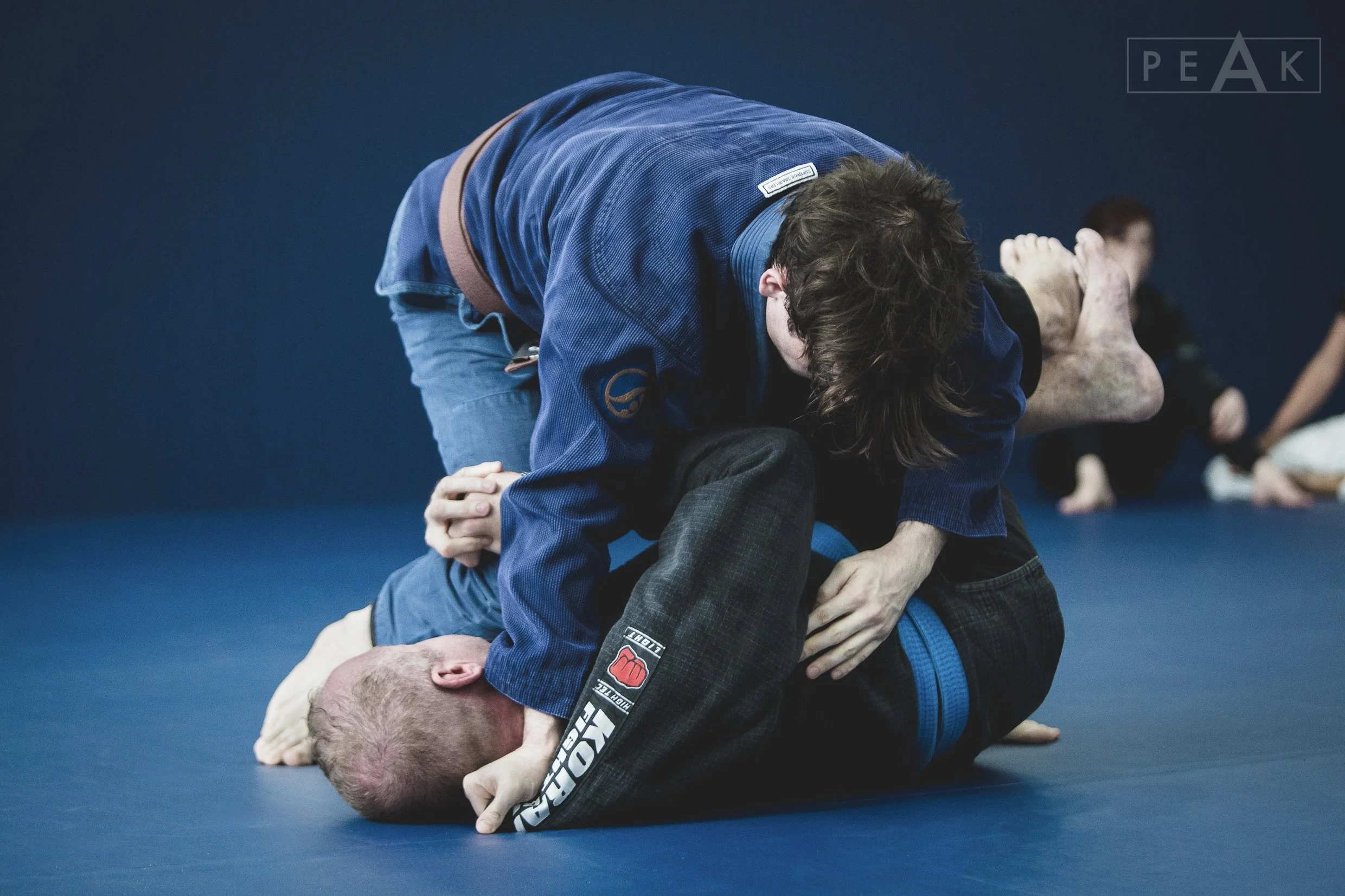 Architecture of a Guard