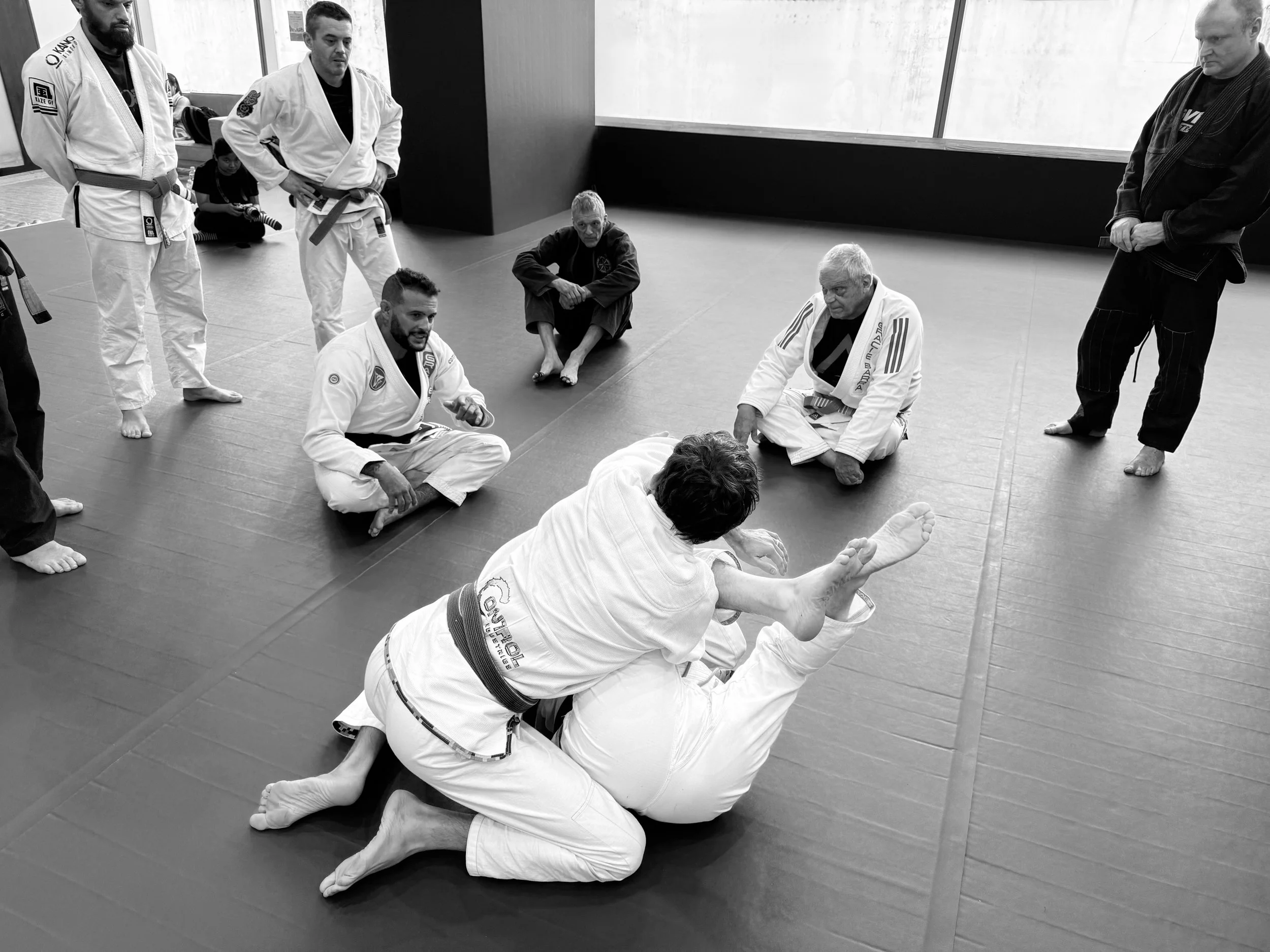 Radical Shifts: A Path to Lasting Adaptability