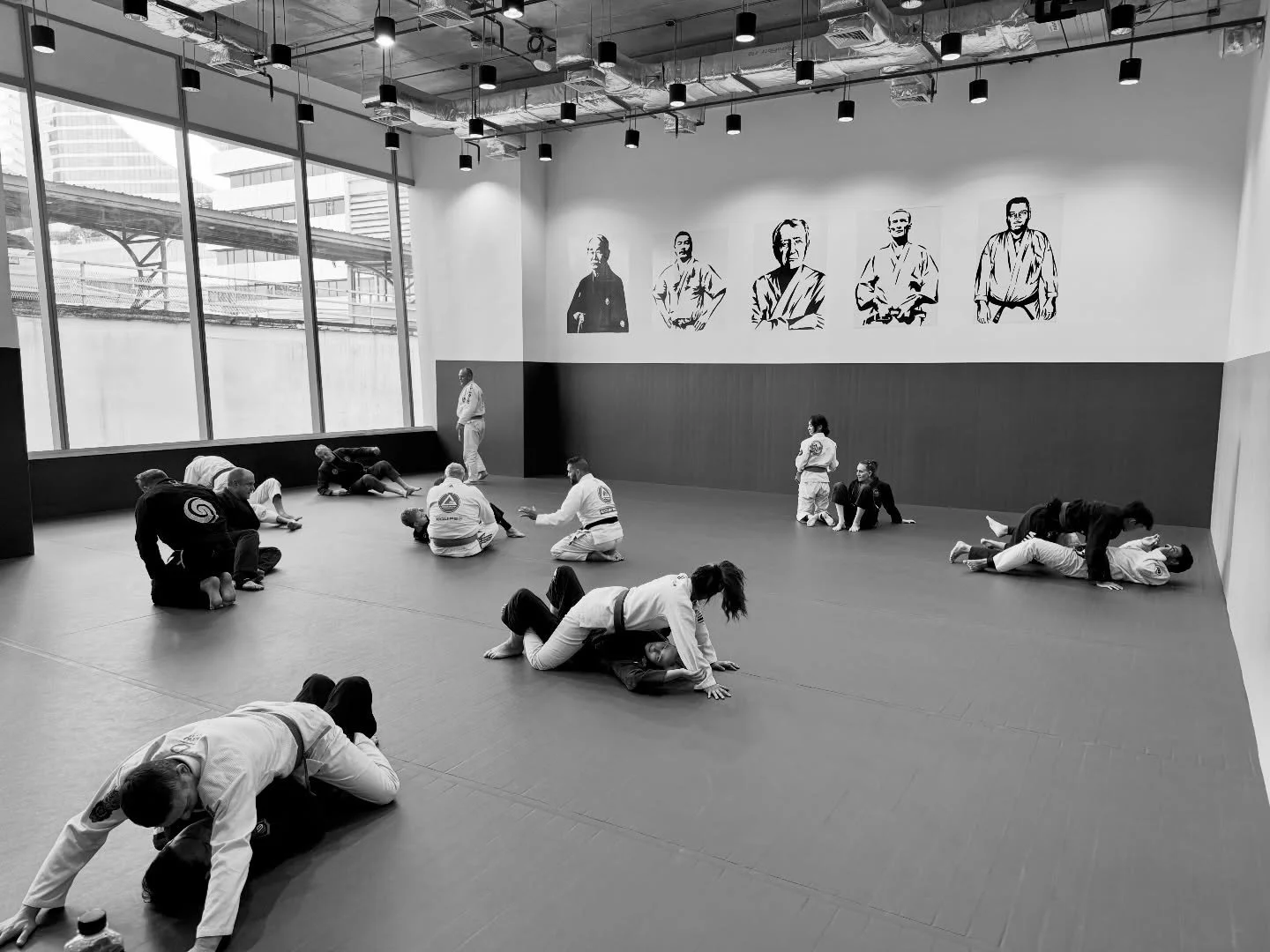 Murphy&rsquo;s Law of Combat for Jiu-Jitsu. Pt 1:

Though written for the battlefield, they provide principles that guide us when plans collapse, when fatigue sets in, when instinct takes over.

1. You are not Superman.

No one escapes physics, fatig