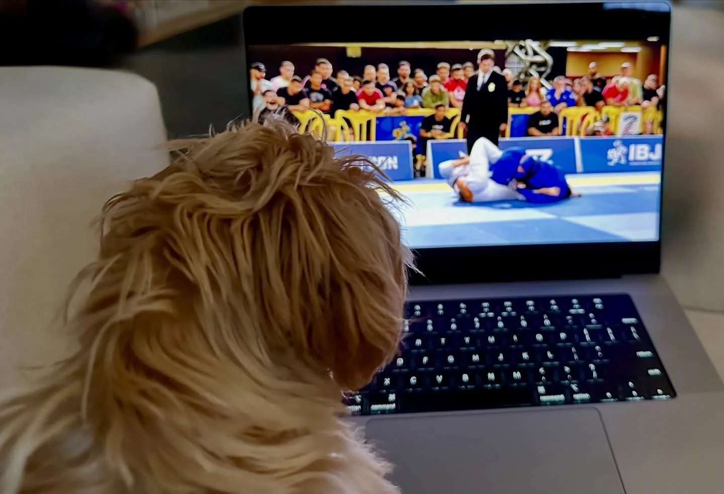 The Reward of Study:

When you study consistently, something changes. Your opponent remains unpredictable, but you arrive differently. You&rsquo;ve seen this grip or scenario before. Somewhere in a video or a line buried in a book, you&rsquo;ve alrea