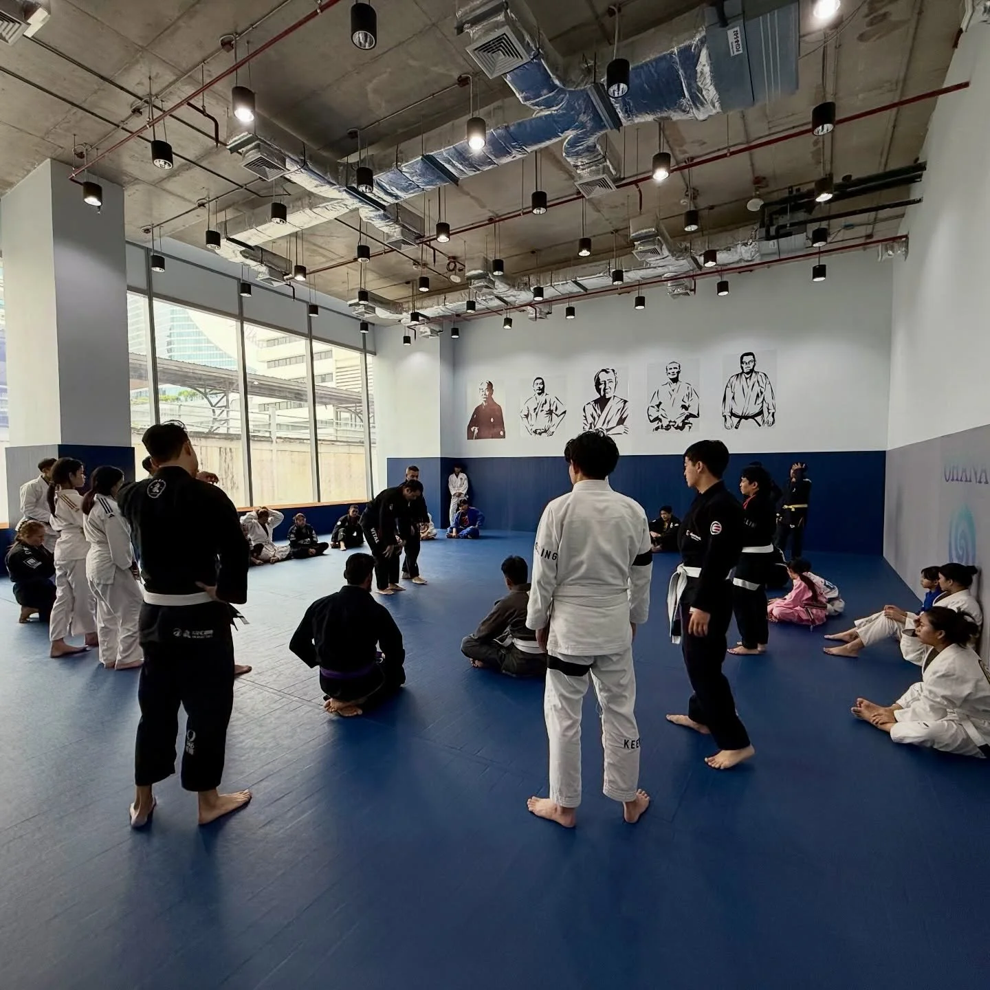 Patterns, Not Parts:

Tightness is commonly treated as a local issue; stretch a muscle in isolation and move on. While this may produce short-term change, that change is rarely durable because movement is organized by patterns, not individual tissues