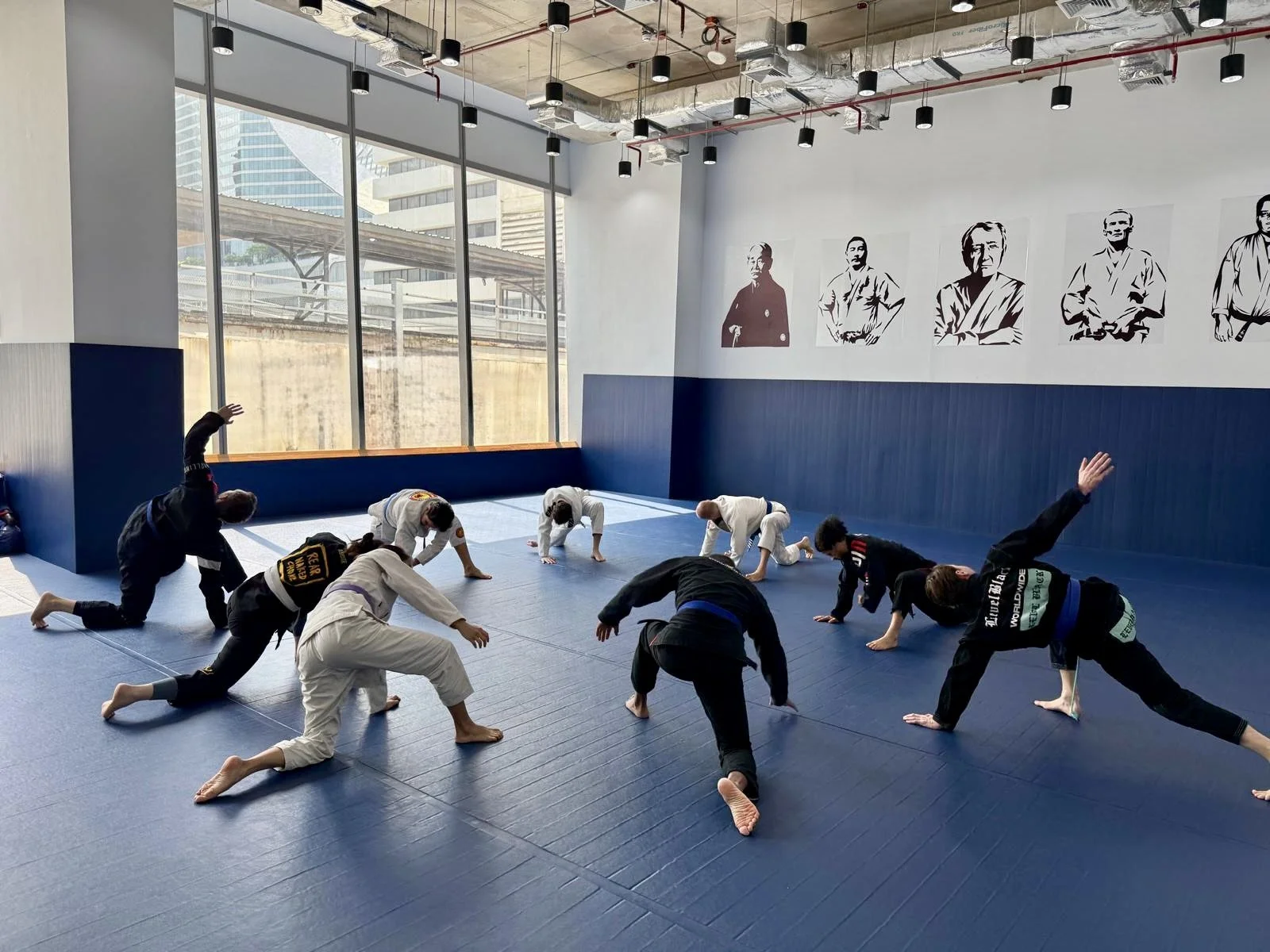 Stress &amp; Adaptation Pt. 6