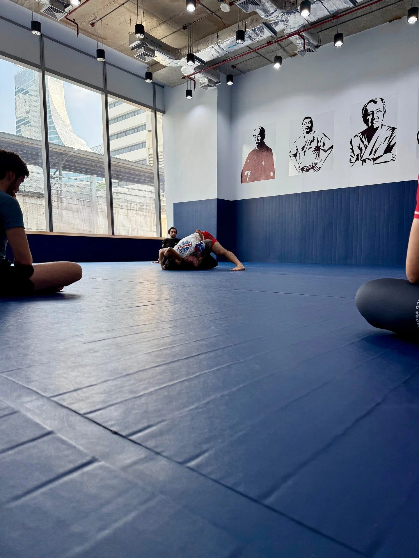 Recovery Pt. 7 &mdash; Supplements (2/3):

Here, we consider systemic and structural interventions that operate over longer timeframes to address broader recovery.

Creatine has the strongest, consistent evidence of any supplement in this space. Its 