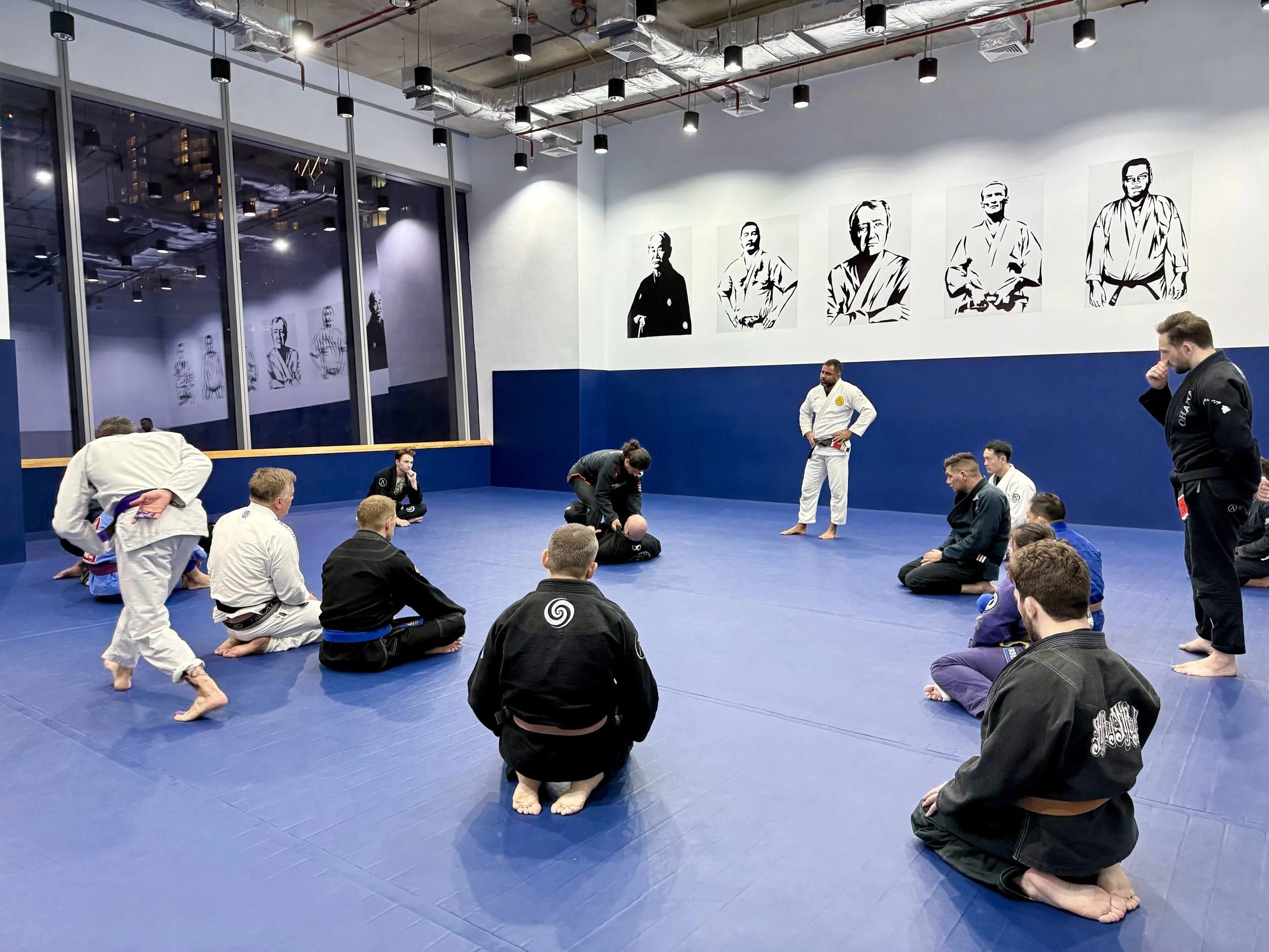 Does BJJ Demand Maximum Absolute Strength?
