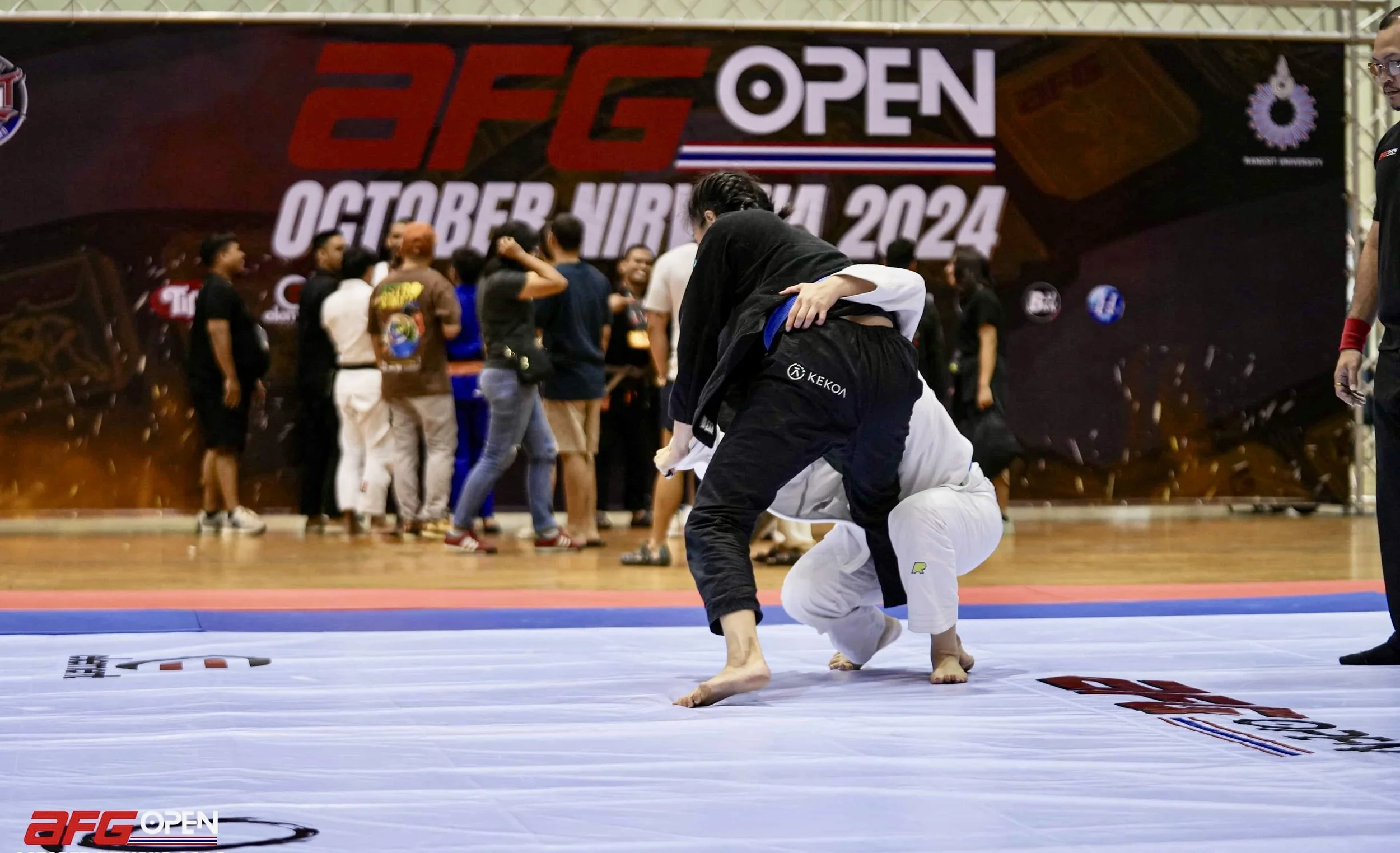 Rotational Power for BJJ