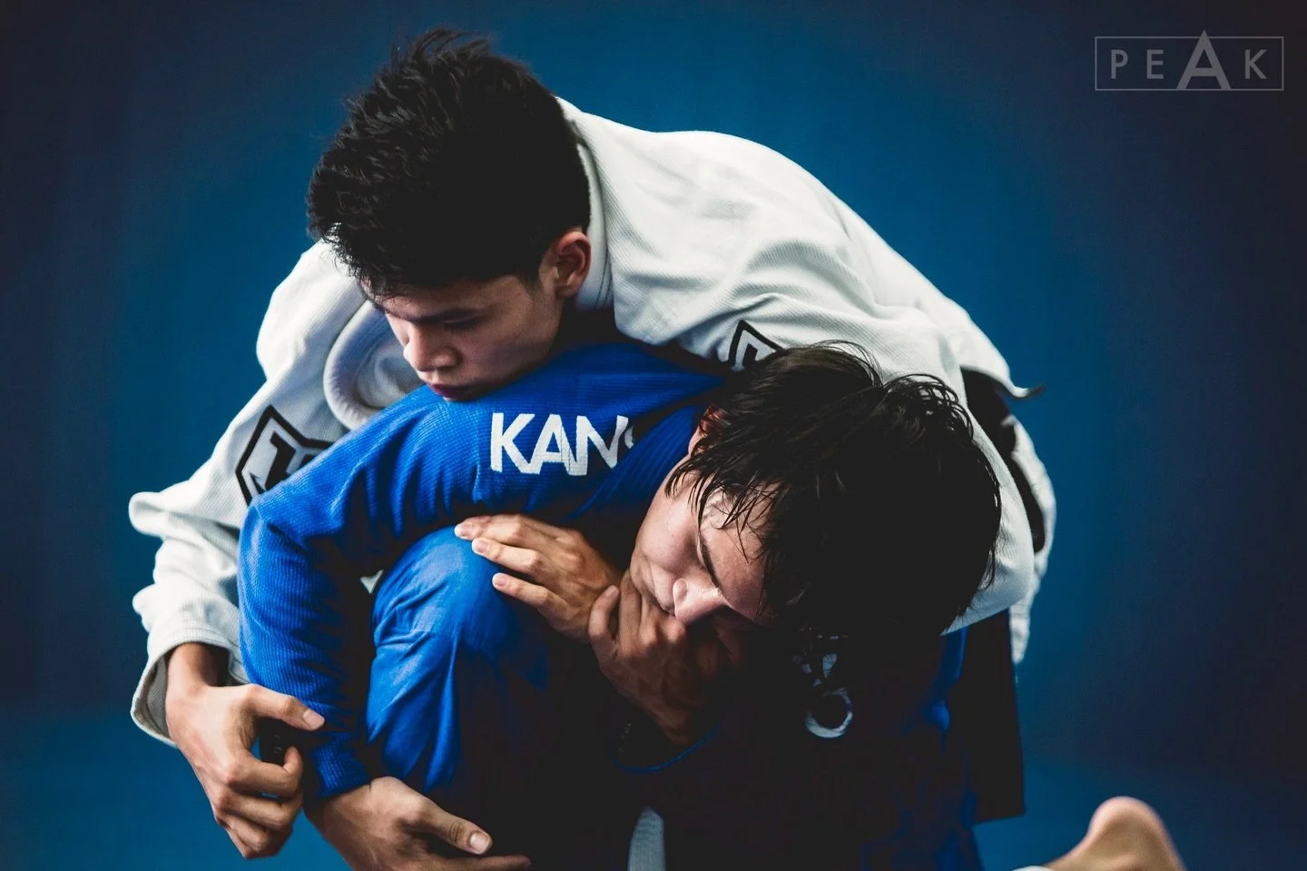 The kluge Effect:

The Kludge Effect in grappling is where a game gets patched together over time with imperfect solutions; a messy reality where layered, non-designed, or obsolete elements persist, creating fragility and latent risks when the system