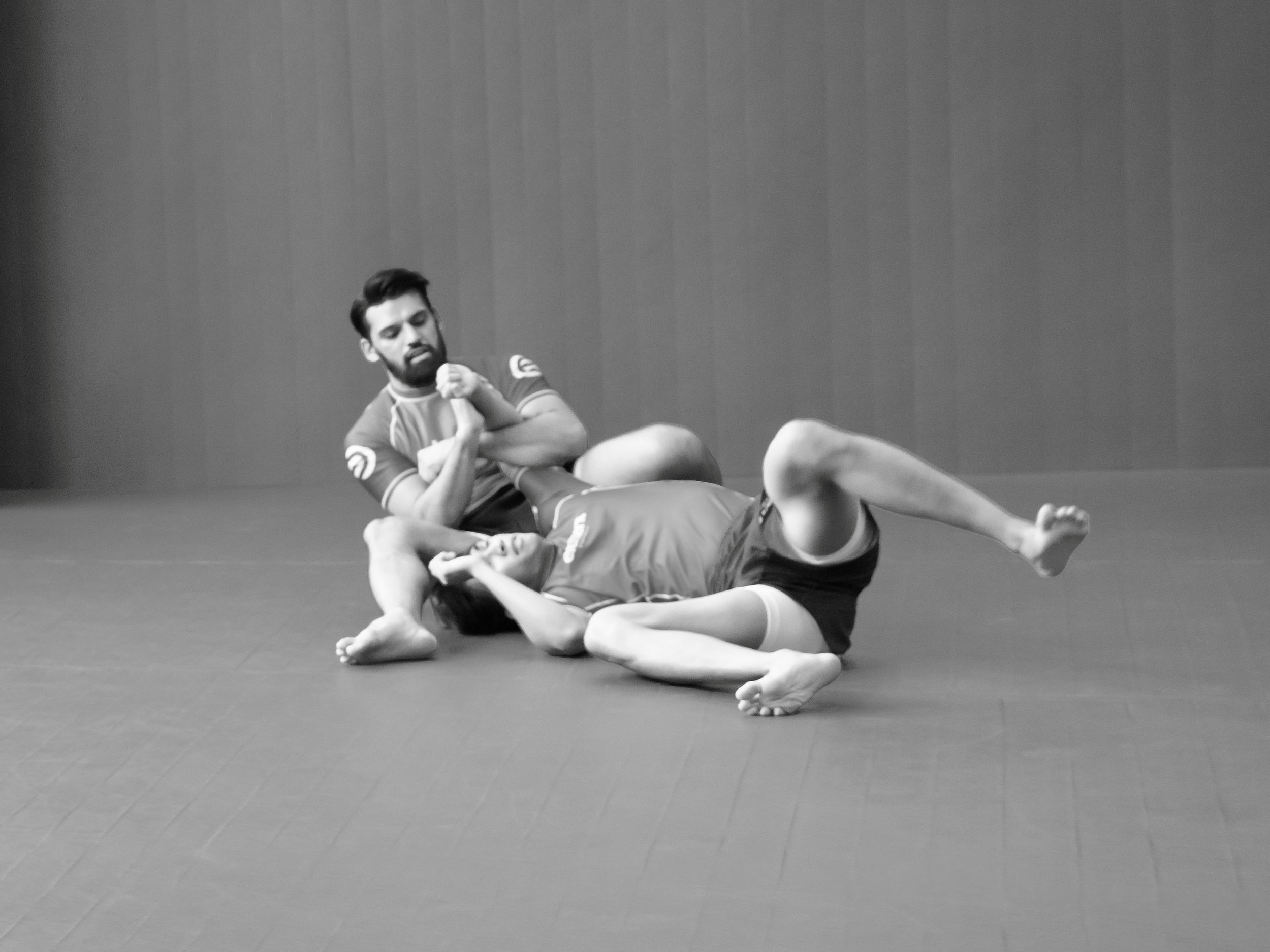High-Percentage Techniques:

Not all techniques are created equal. Across body types, competitive rulesets, and stylistic matchups, a small subset of techniques accounts for a disproportionate share of results. This is the Pareto Principle applied to