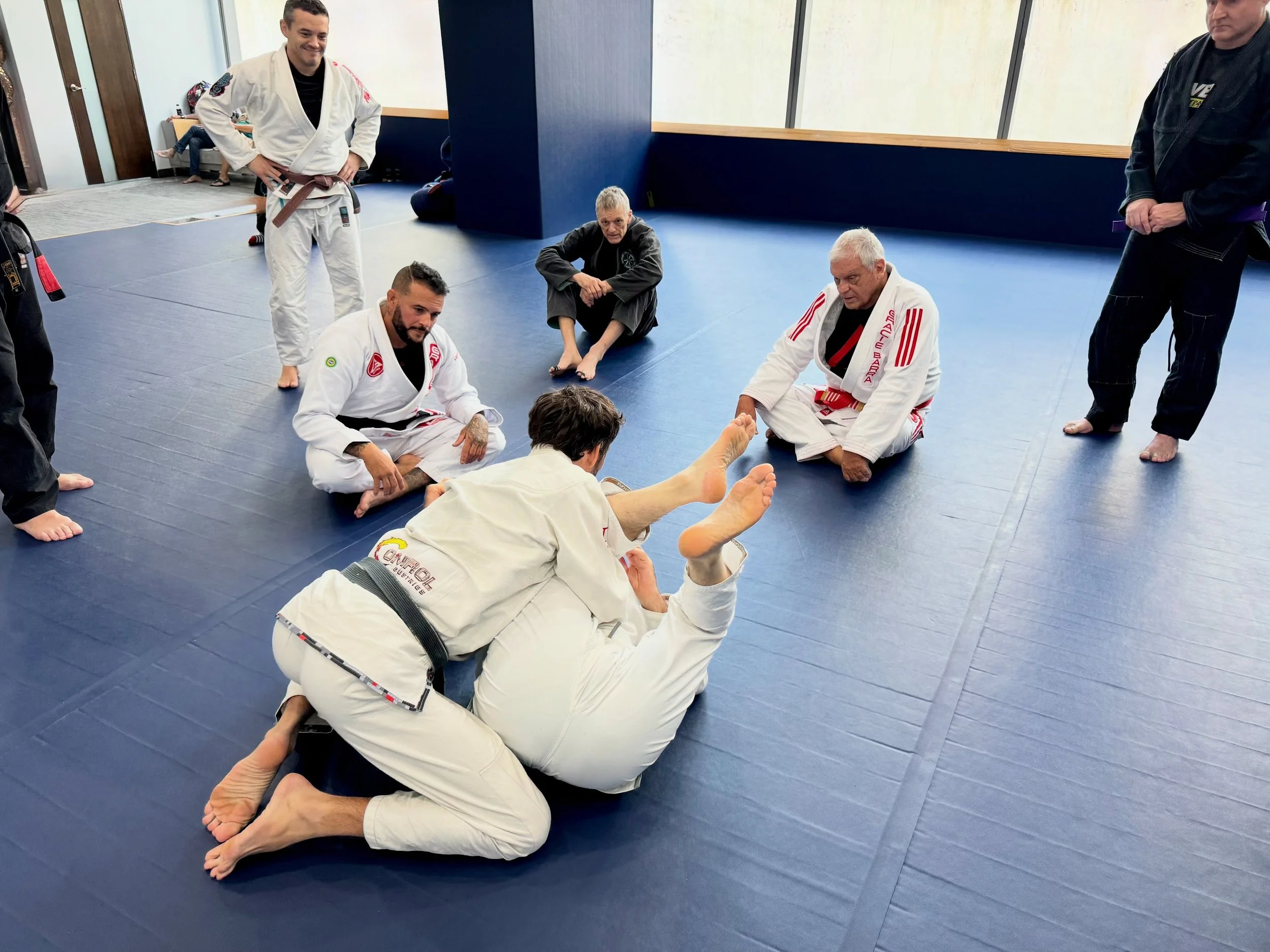 Belief, Doubt, and the Long Work; Pt. 2:

The highest level of development is not the accumulation of correct beliefs. It is the ability to move fluidly between acceptance and doubt: to have deep faith in your hard-won principles while remaining genu