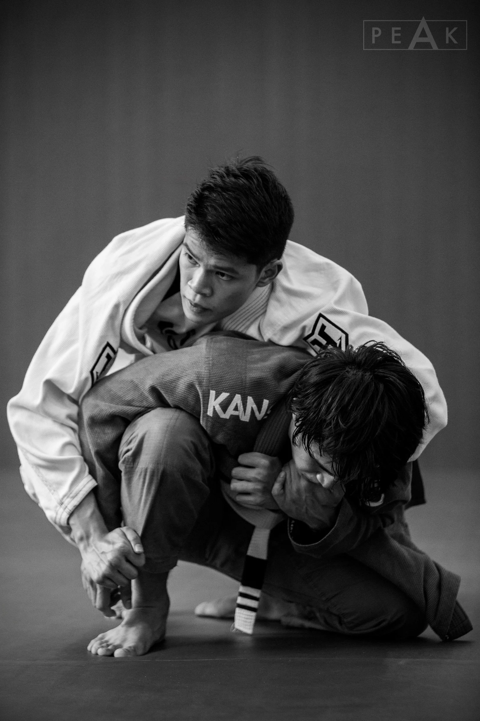 PRINCIPLES FOR PRACTICE