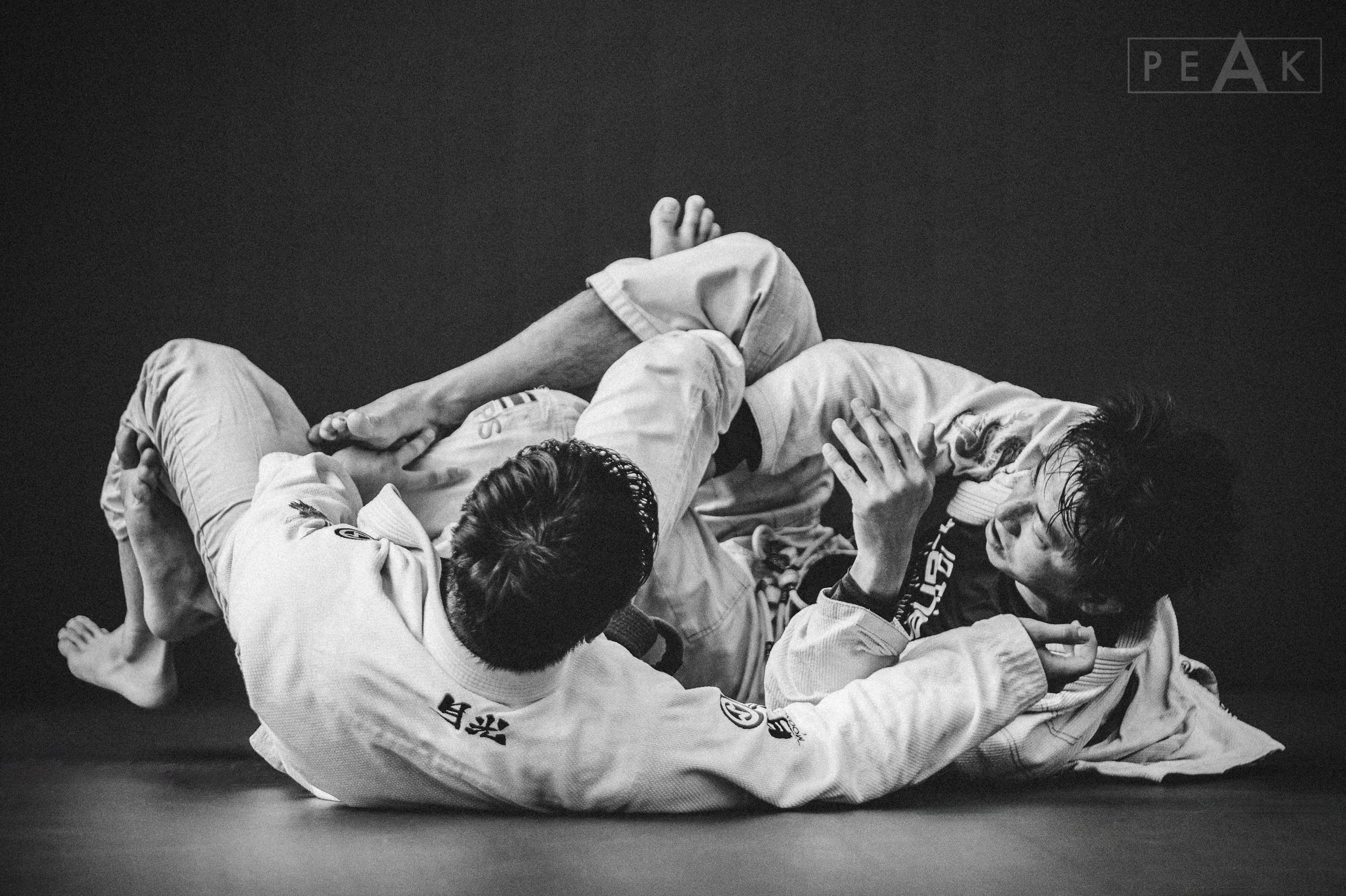 The Best Laid Plans:

You can practice a sequence countless times, but when you encounter a new opponent, none of it comes the way you rehearsed it. The plan was an illusion designed to make you feel safe.

That doesn&rsquo;t mean the plan was worthl
