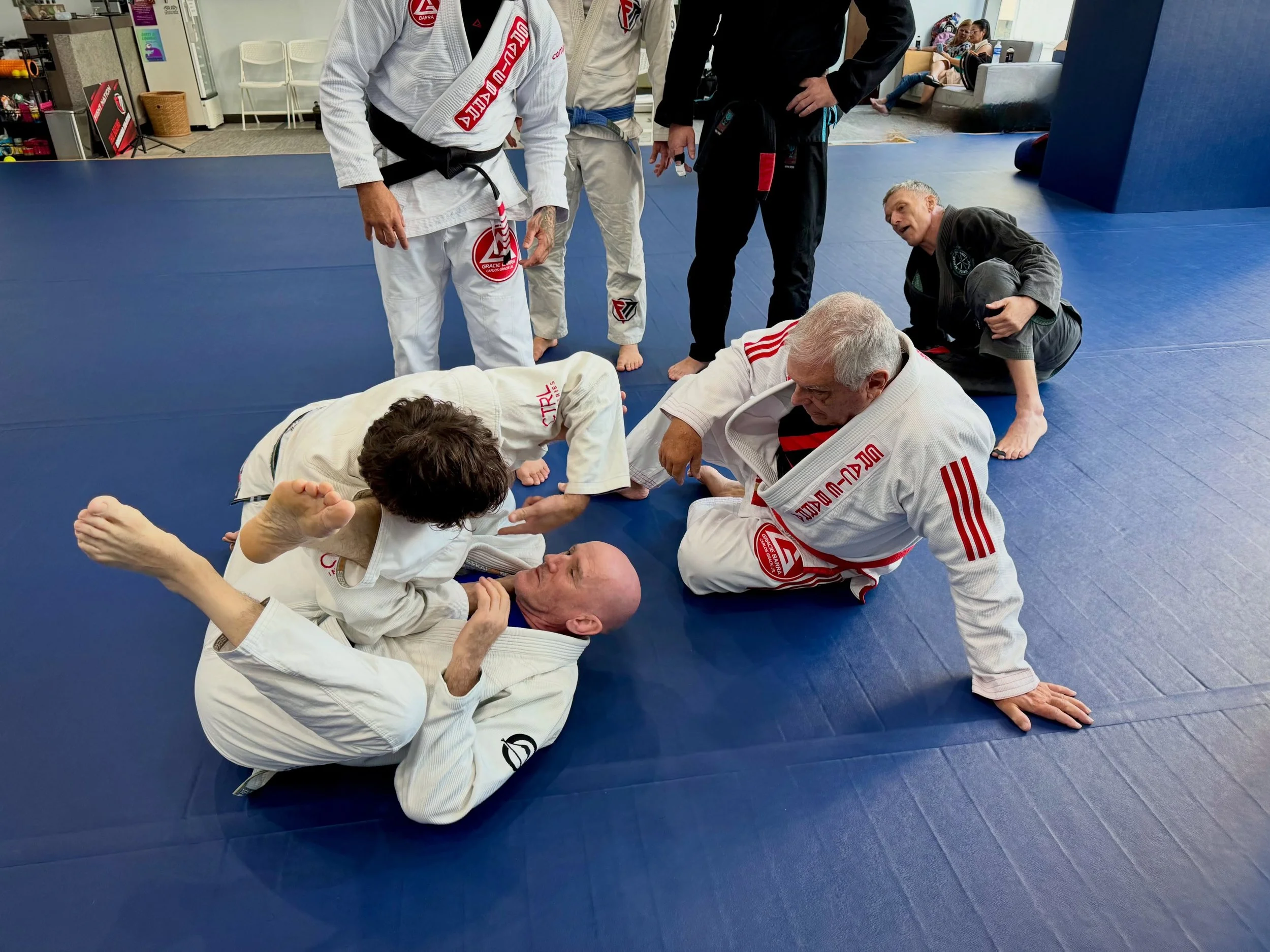 On Depth Over Breadth:

Intelligence is the capacity to understand numerous concepts. Wisdom, on the other hand, is the ability to know the few concepts worth understanding.

A beginner accumulates techniques, building a catalog of moves that are onl