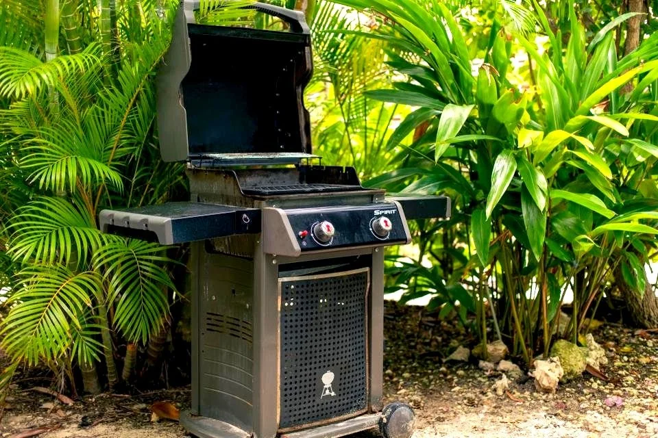 PHOTO-2022-11-28-17-57-45 3.jpg