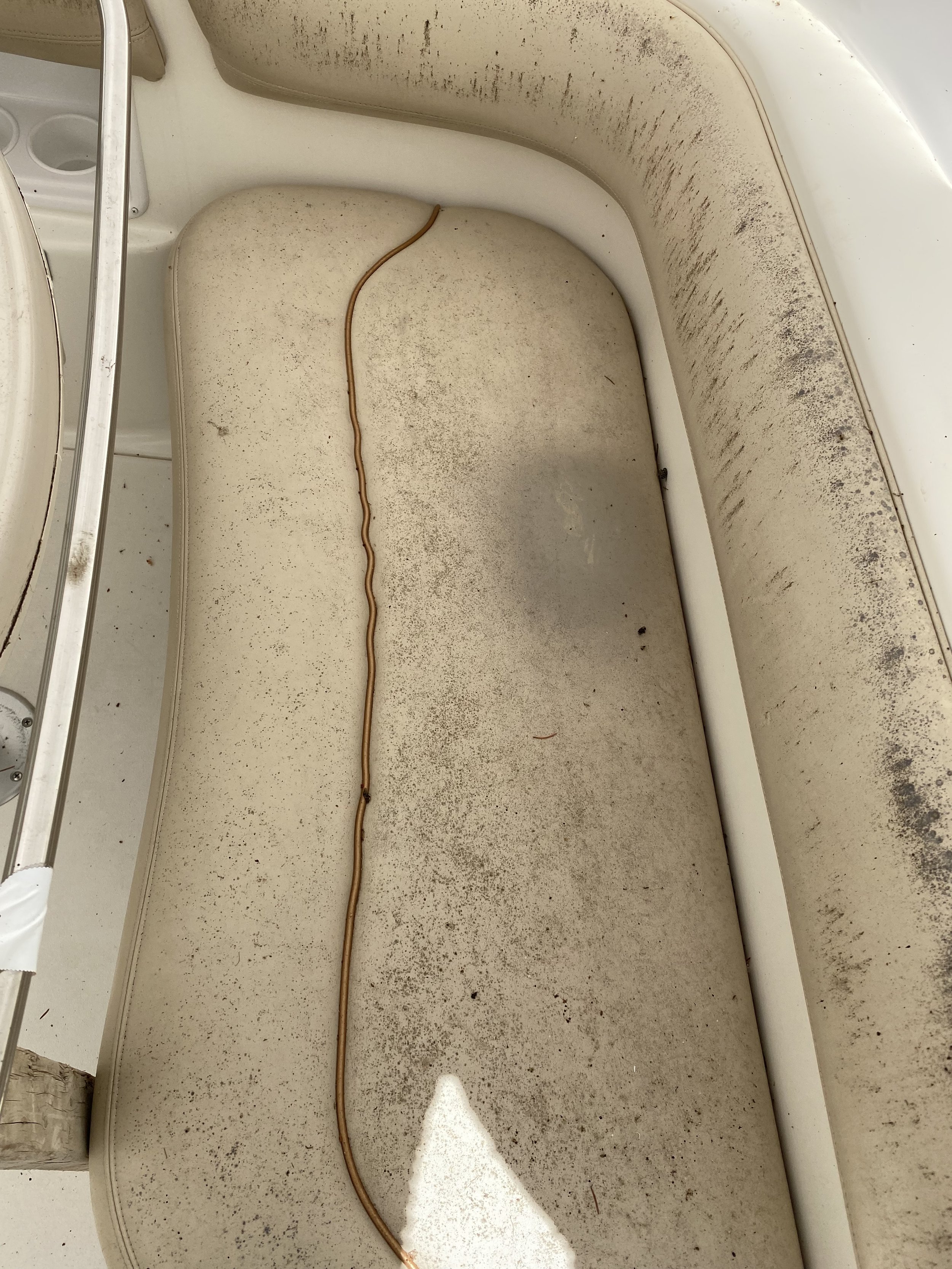 Dirty boat seat with mold and mildew stains and a wire lying across it.