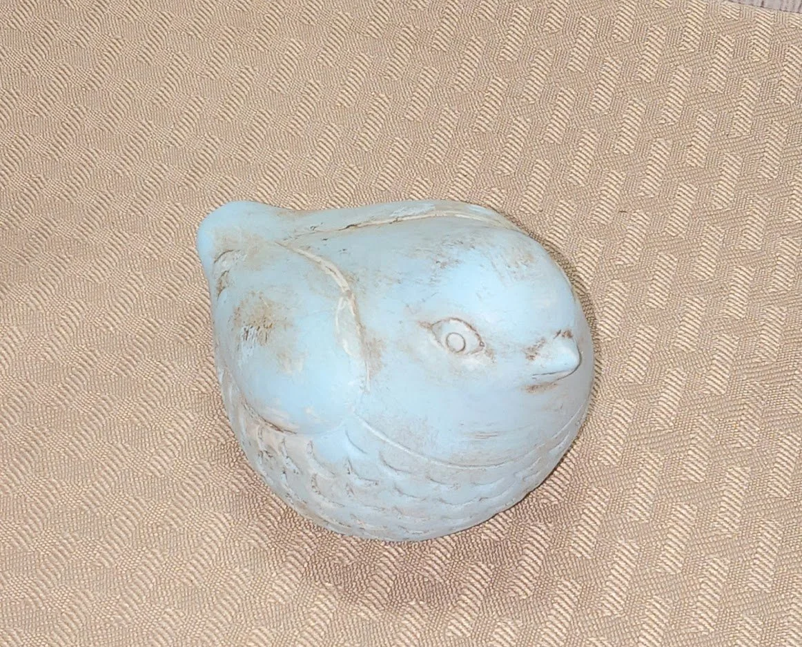 blue bird 2.jpg