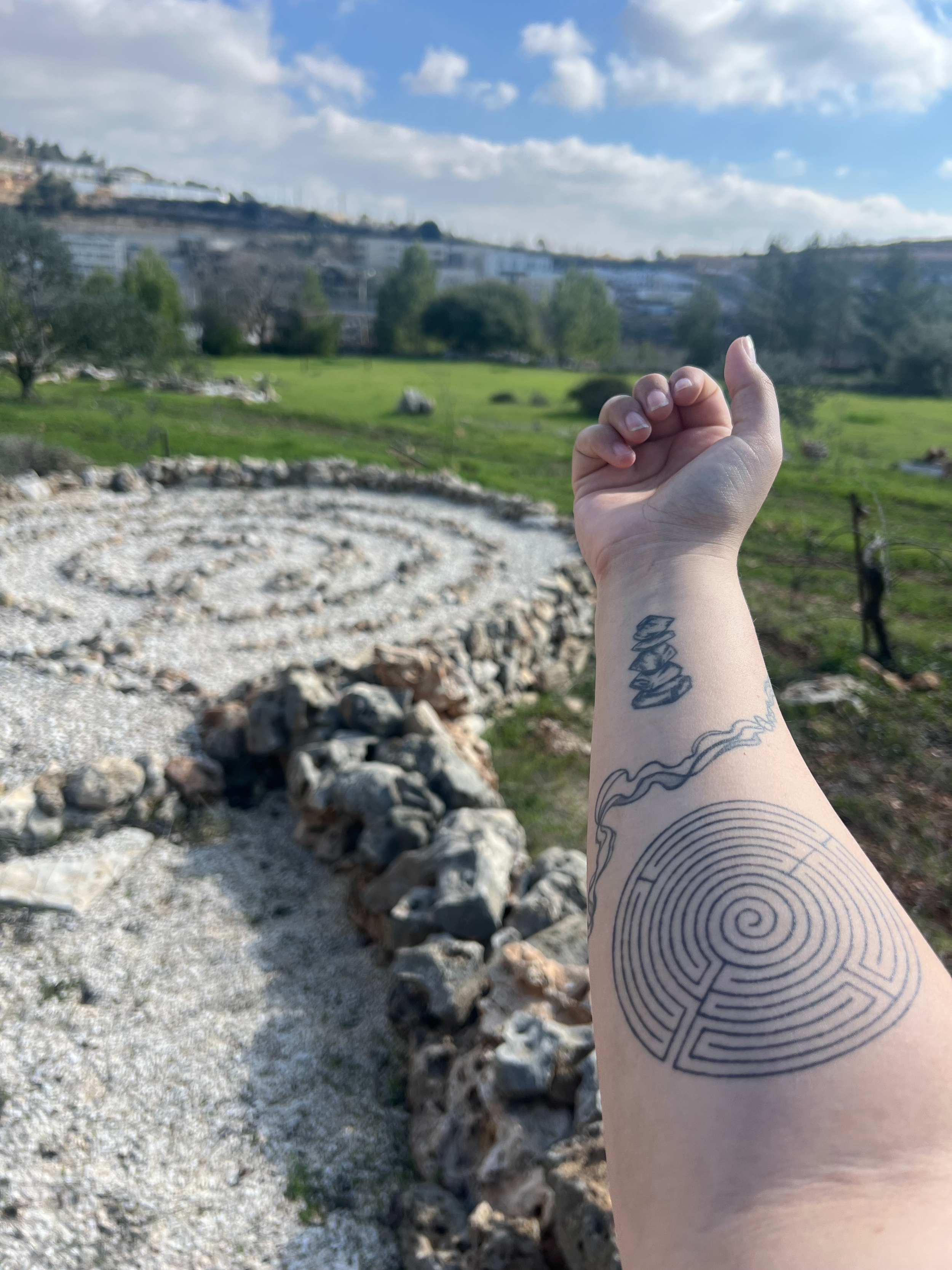 Planting Seeds of Solidatiry in Palestine