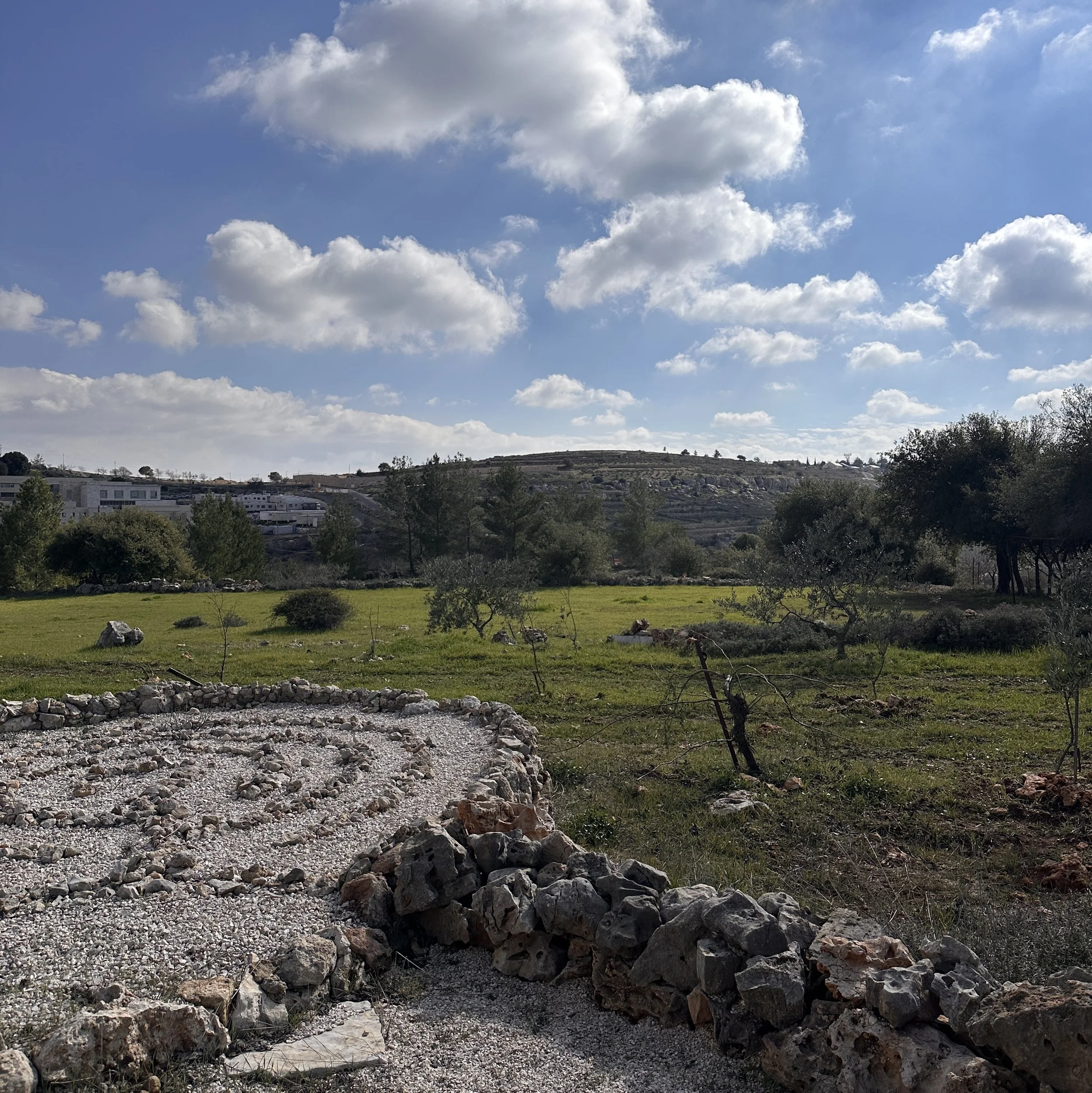 Planting Seeds of Solidarity in Palestine