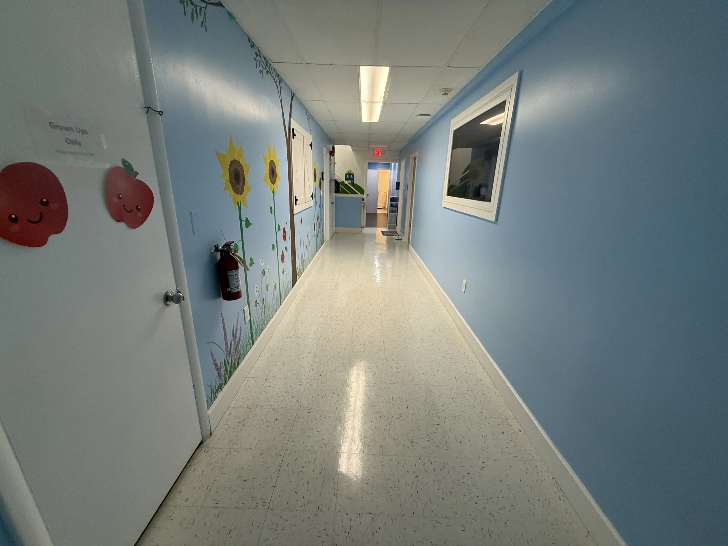 Downstairs hallway