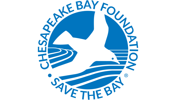 Due East Partners - Client Logo 3x2 - Chesapeake Bay Foundation.png