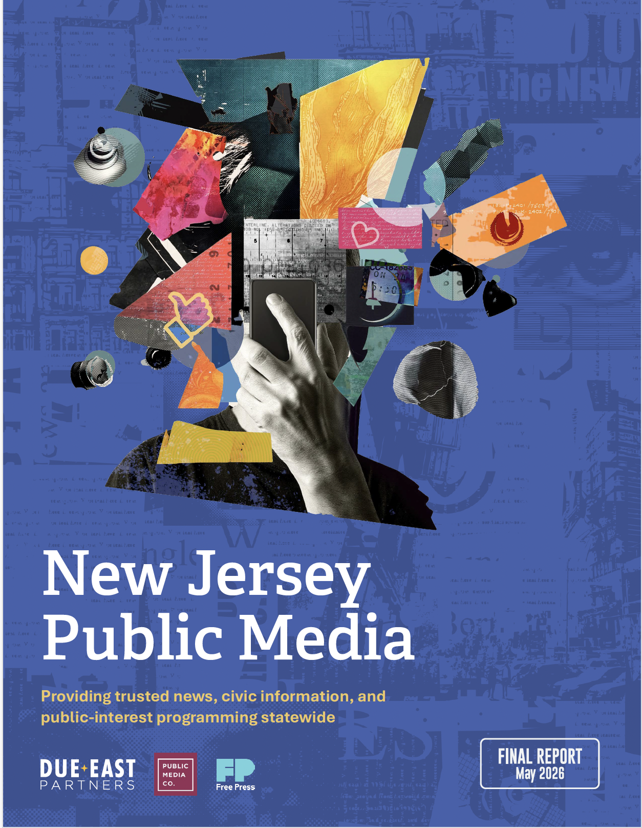 Public Media Ecosystem Report