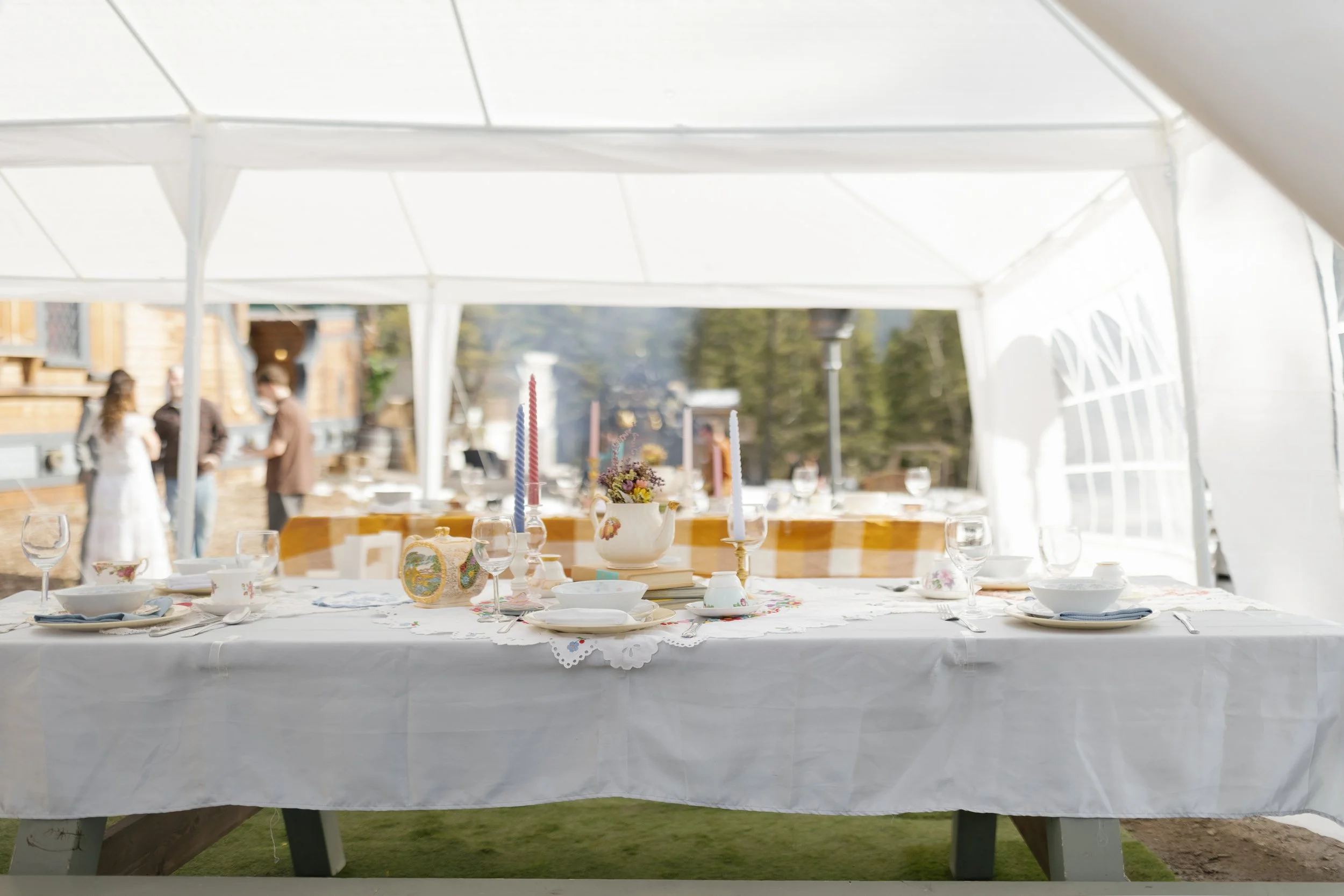 Fairy tale dinner