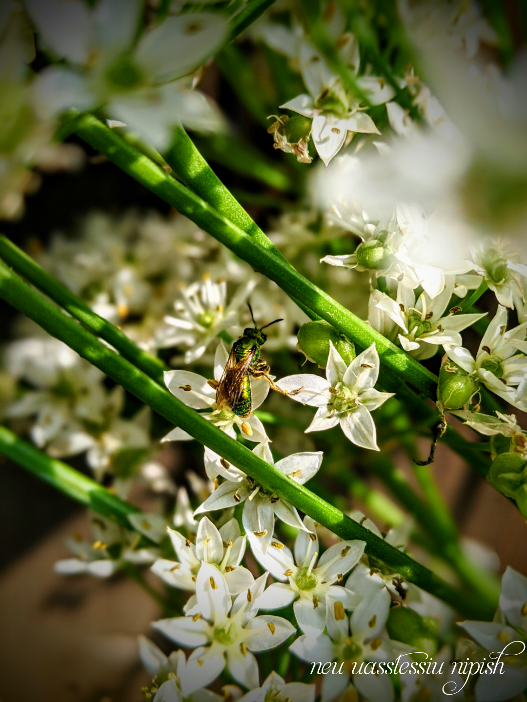 TextOnPhoto_20200921102048.png