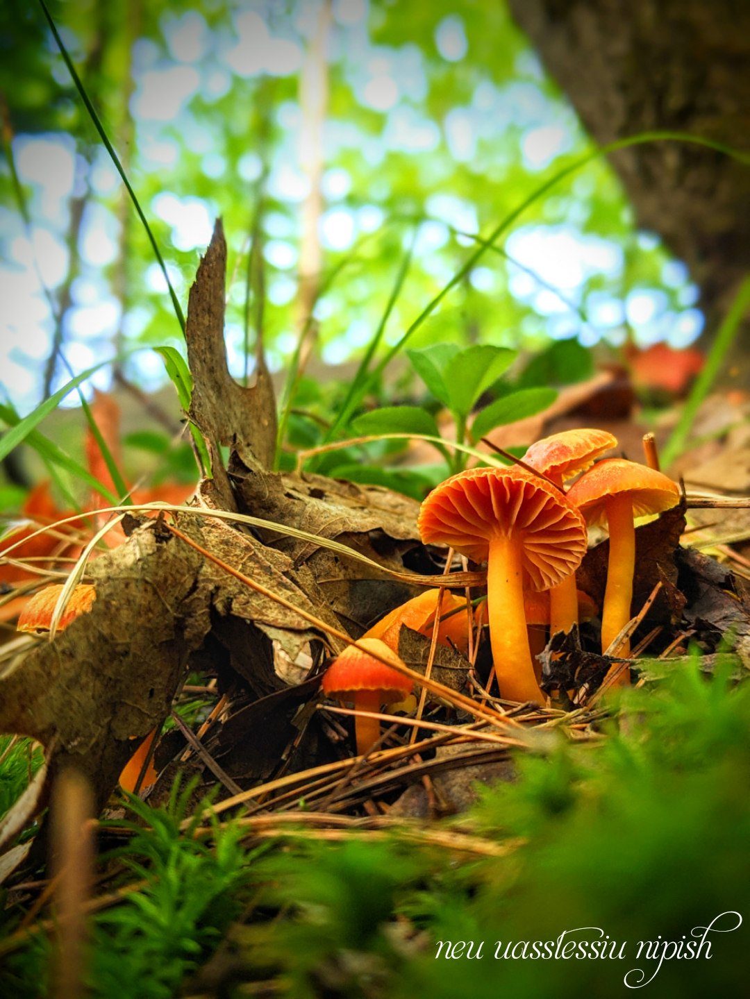 TextOnPhoto_20200921114445.png