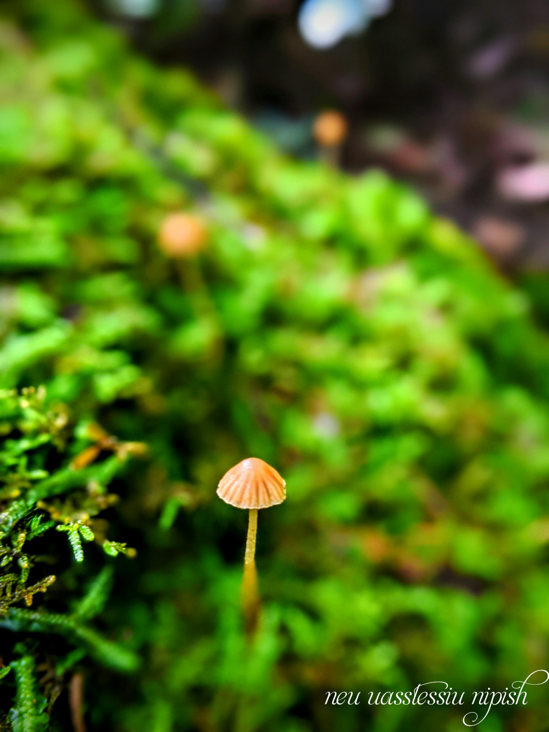 TextOnPhoto_20200908071406.png