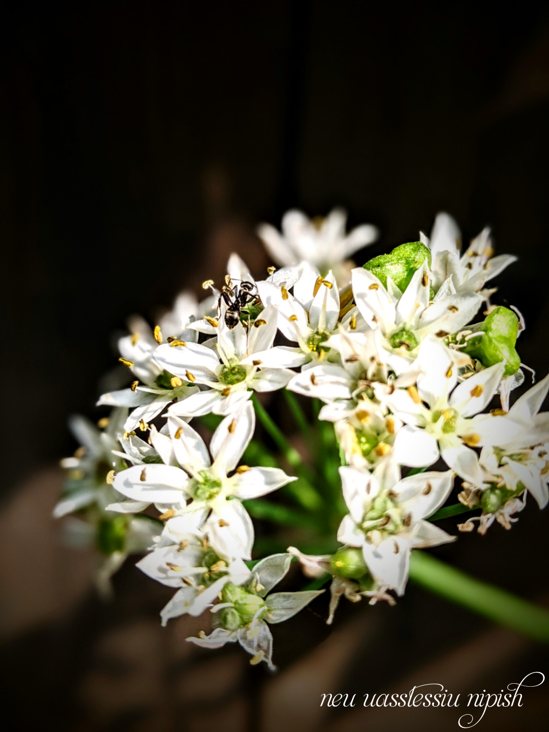 TextOnPhoto_20200921102309.png