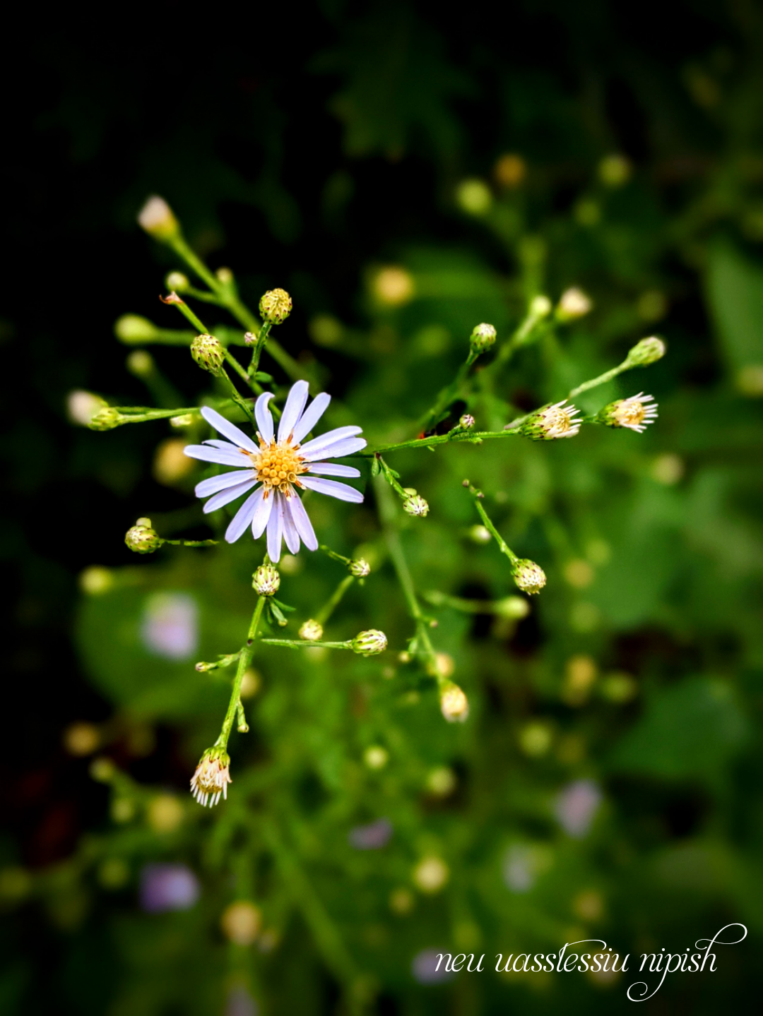 TextOnPhoto_20200920055258.png