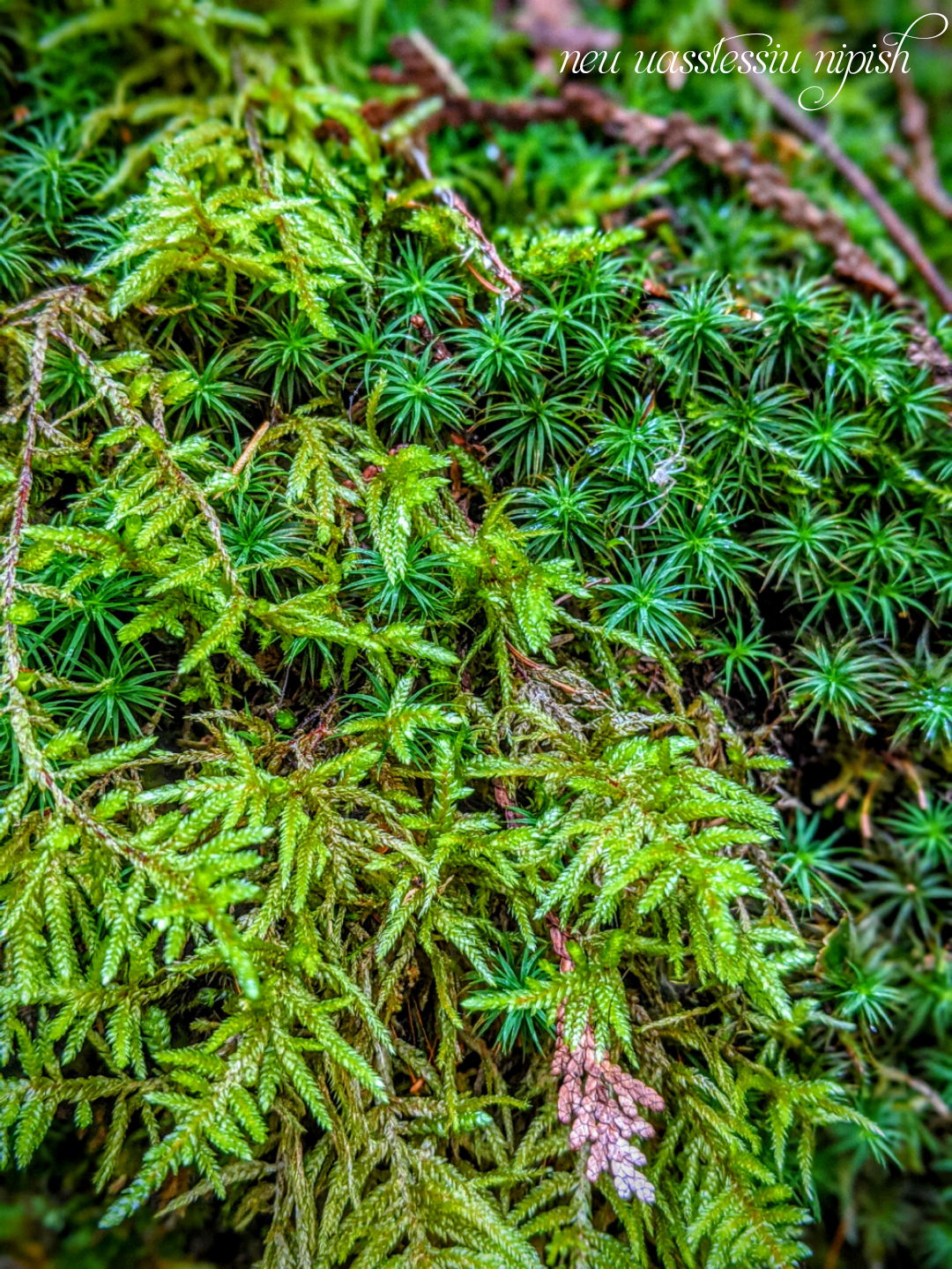 TextOnPhoto_20200911065121.png